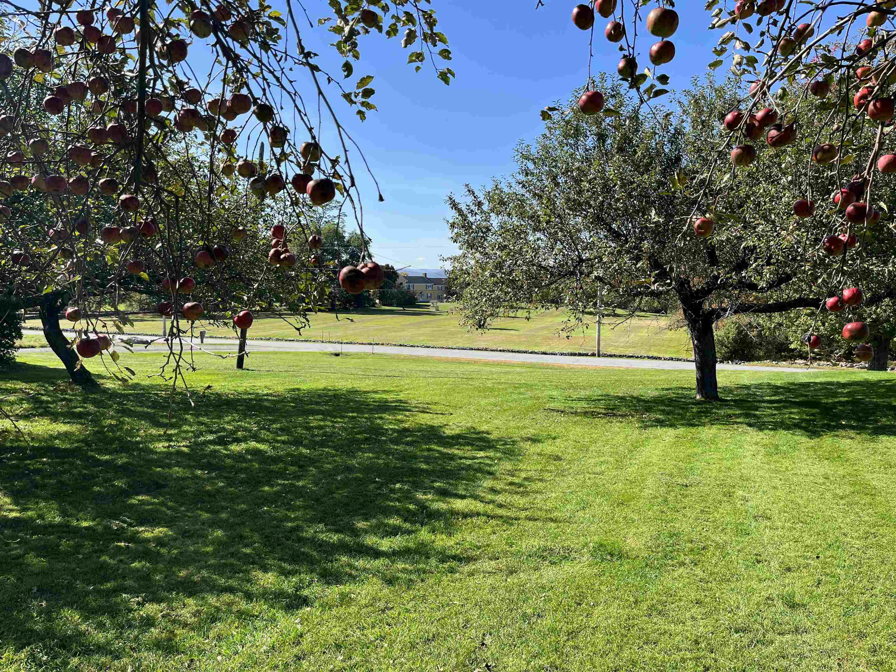 main property photo 12