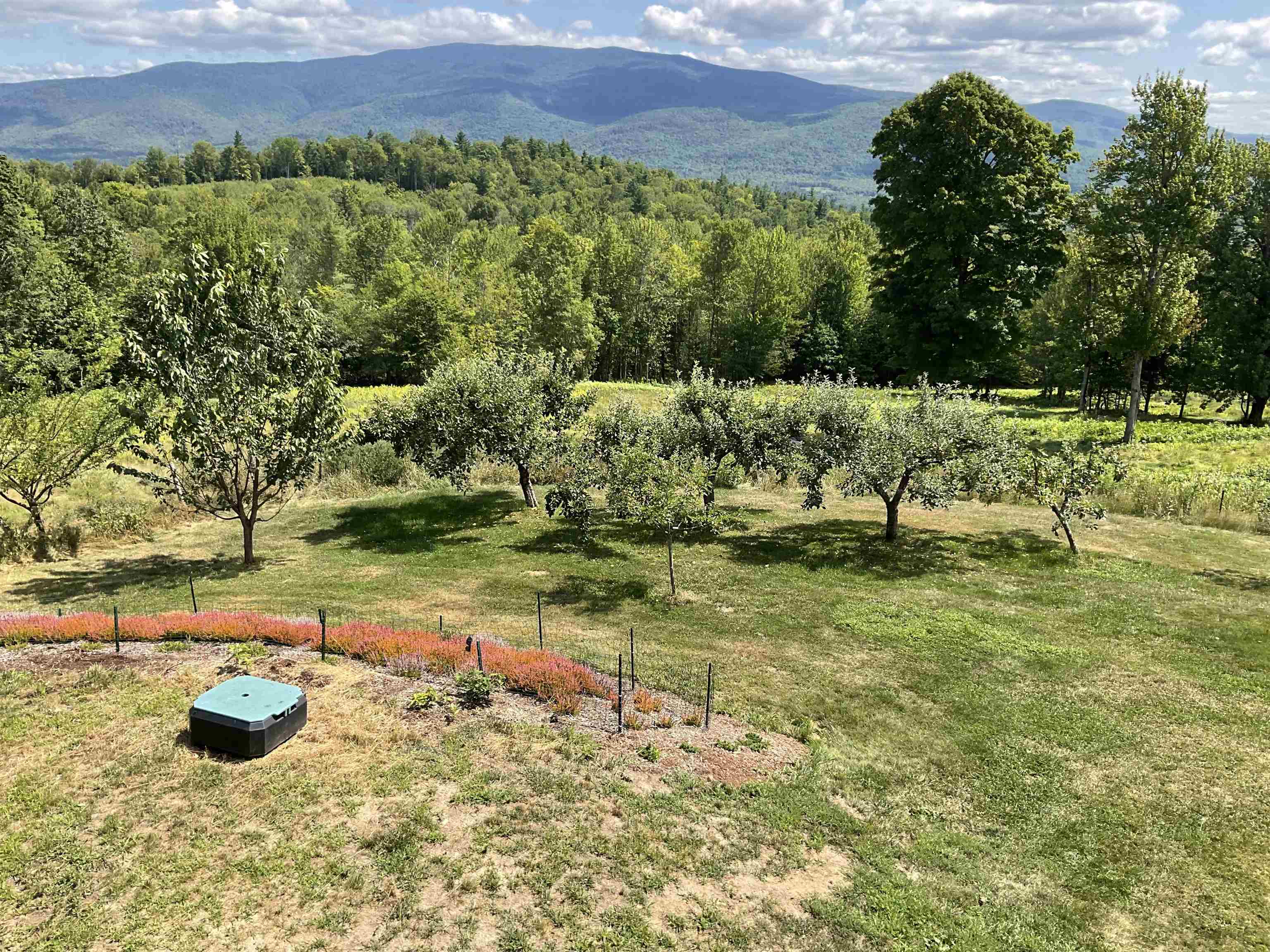 main property photo 46