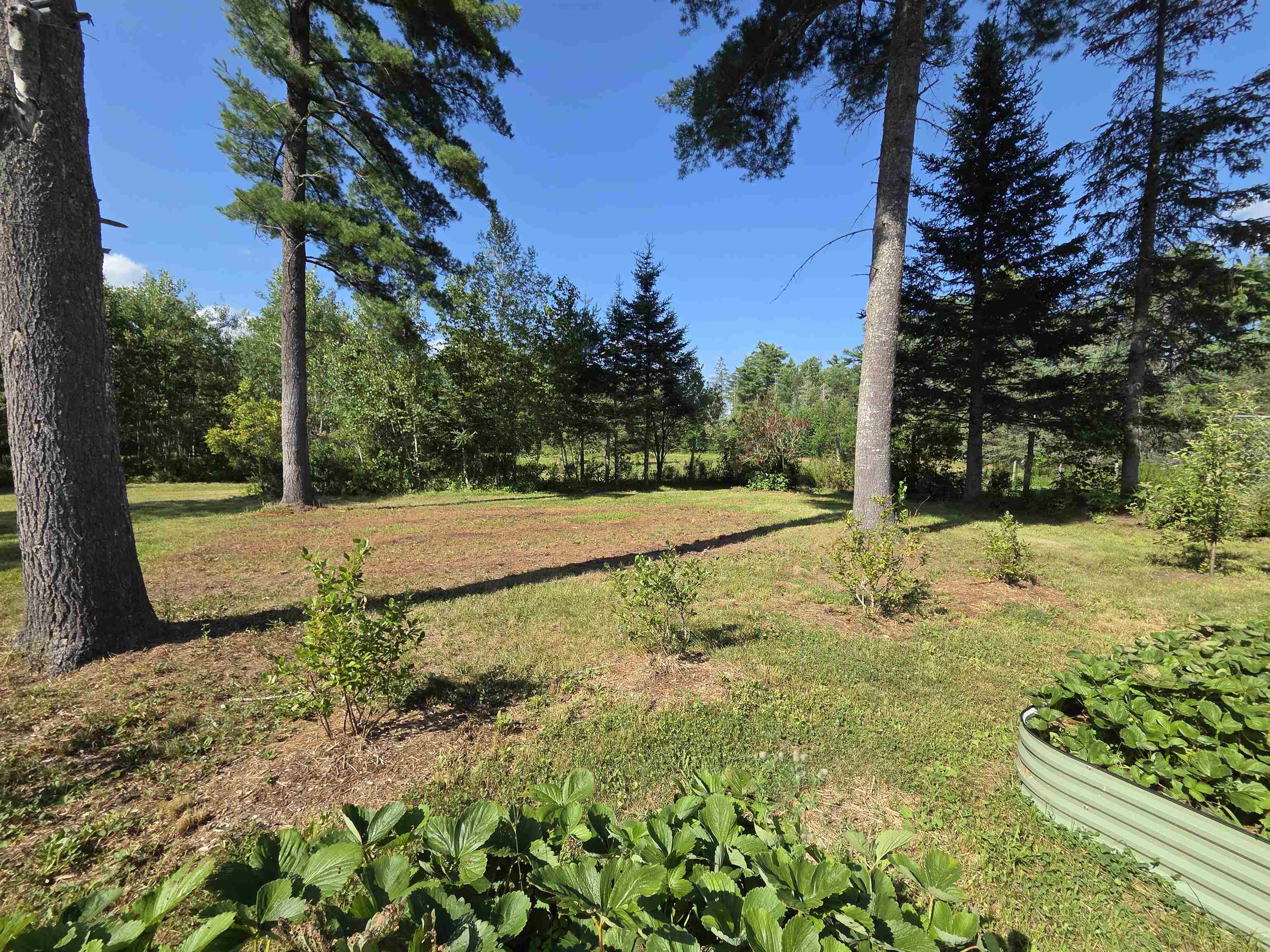 main property photo 52