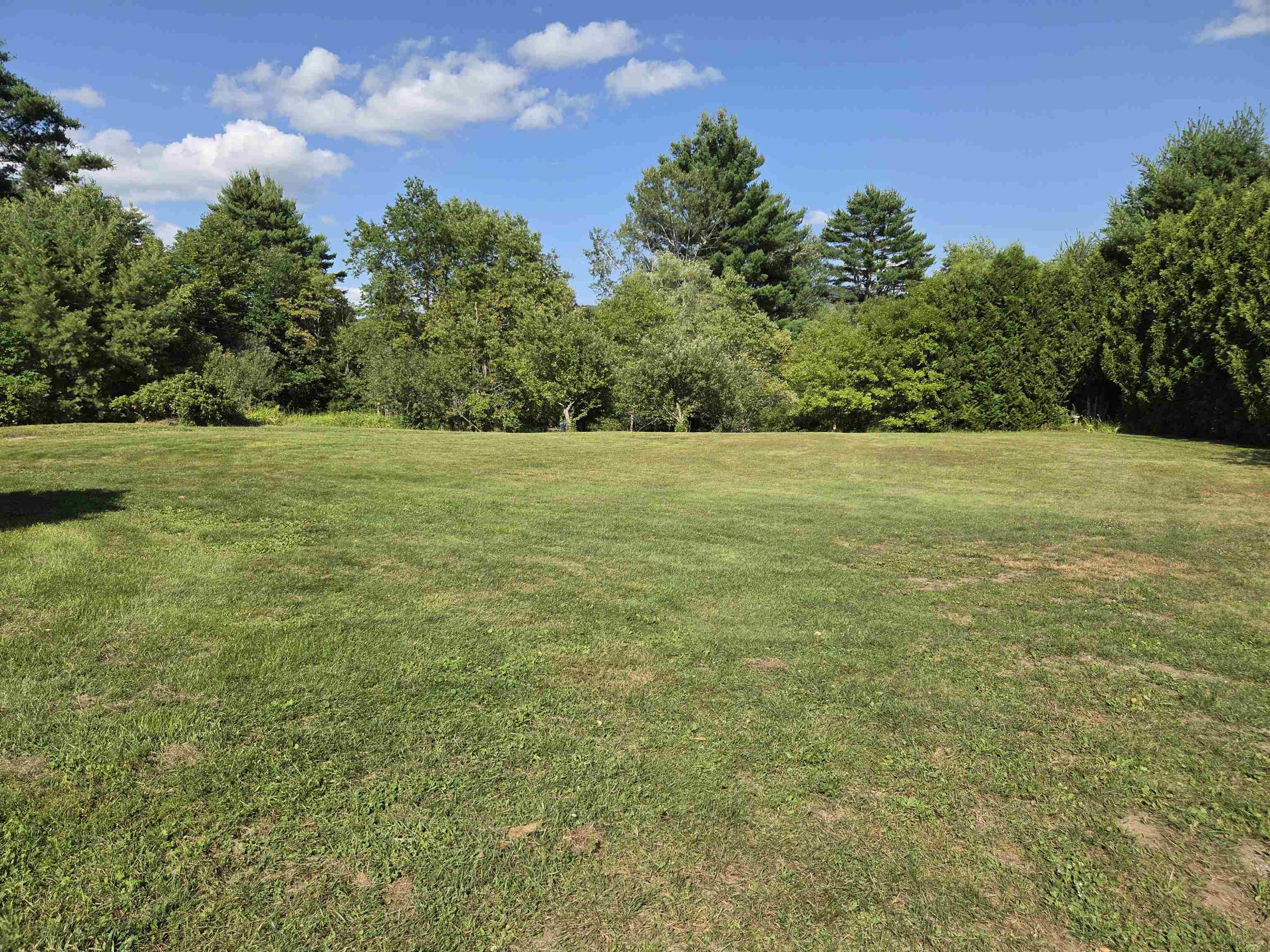 main property photo 54