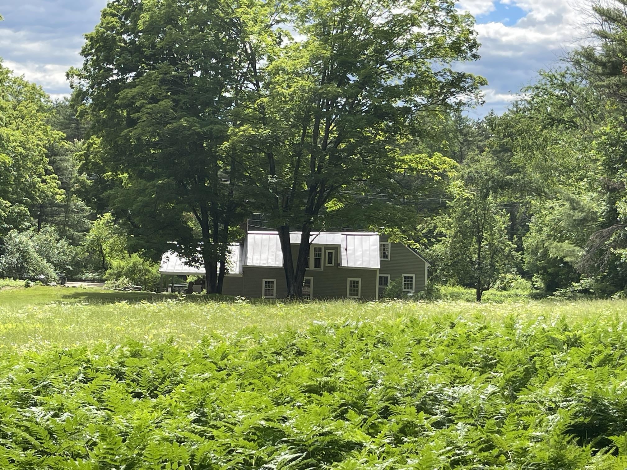 main property photo 42