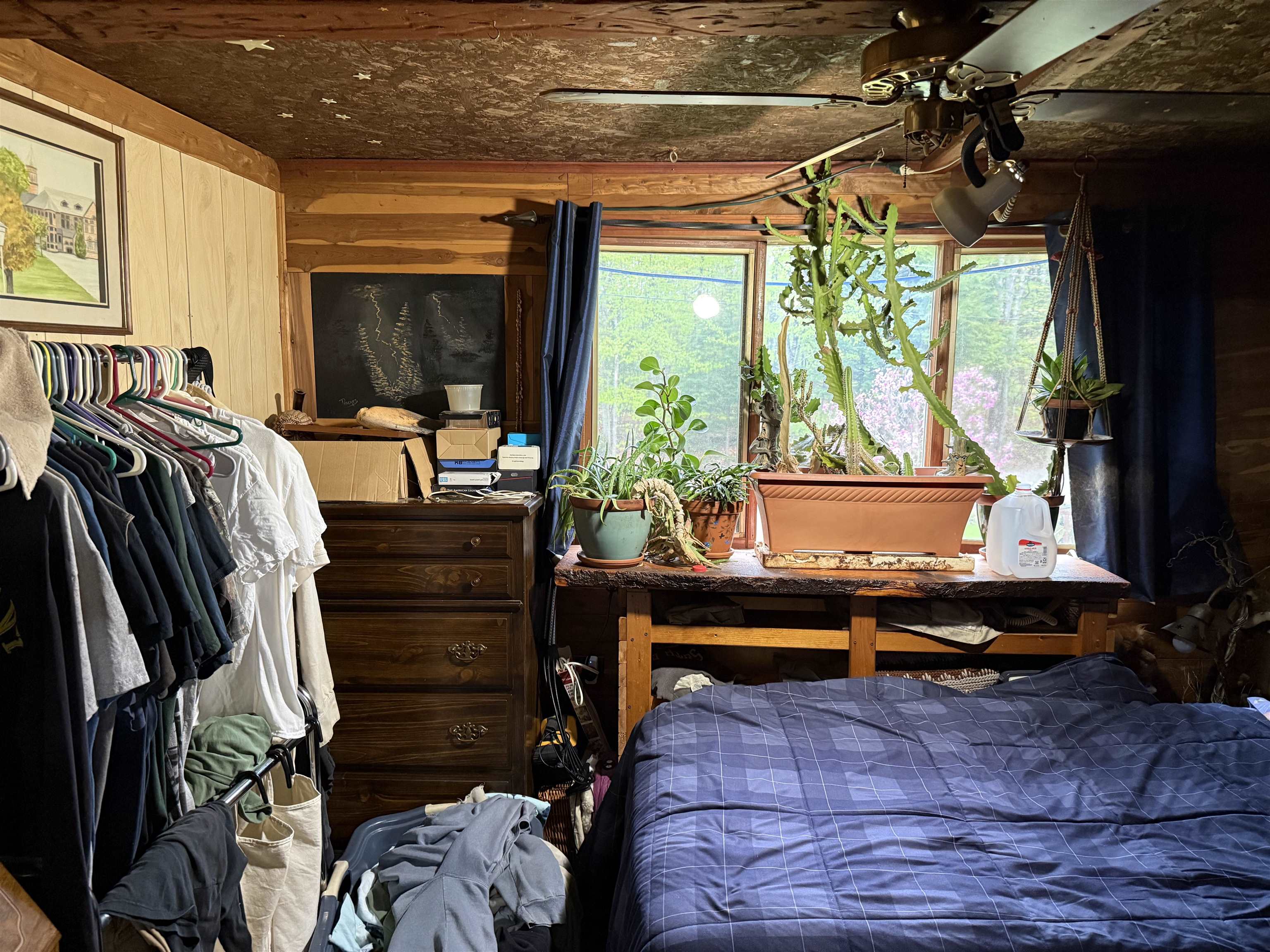 main property photo 46
