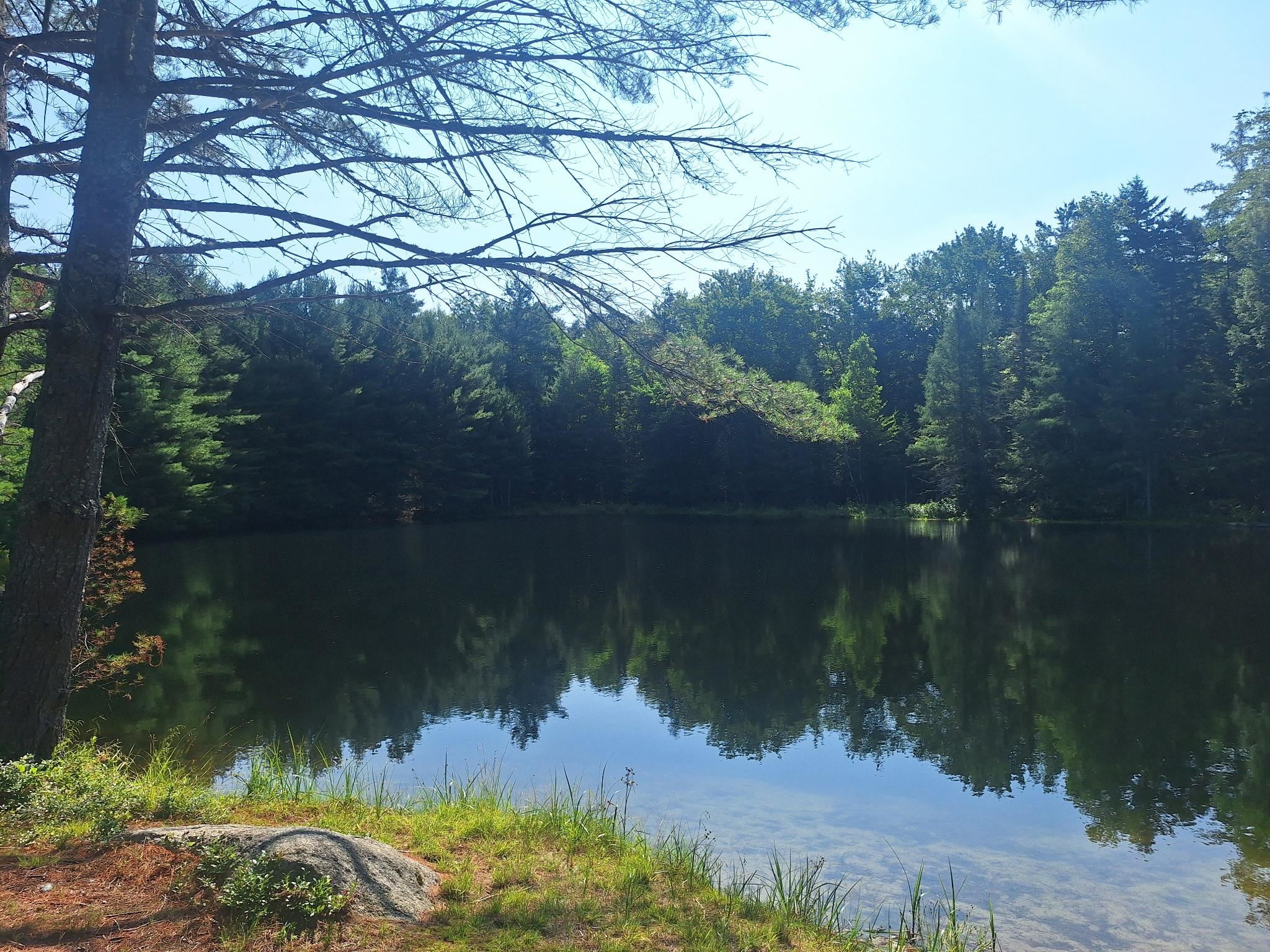main property photo 44