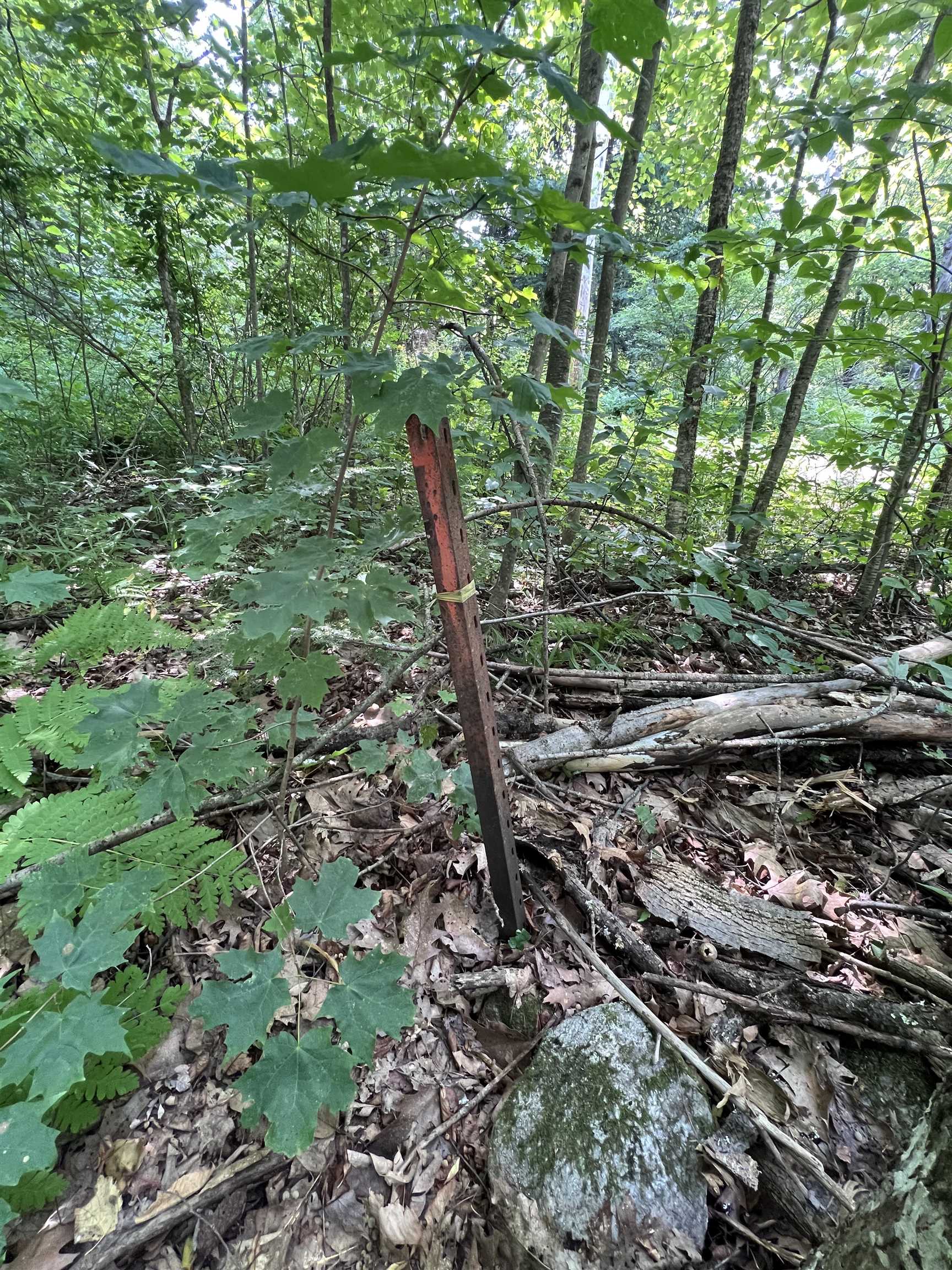 main property photo 29