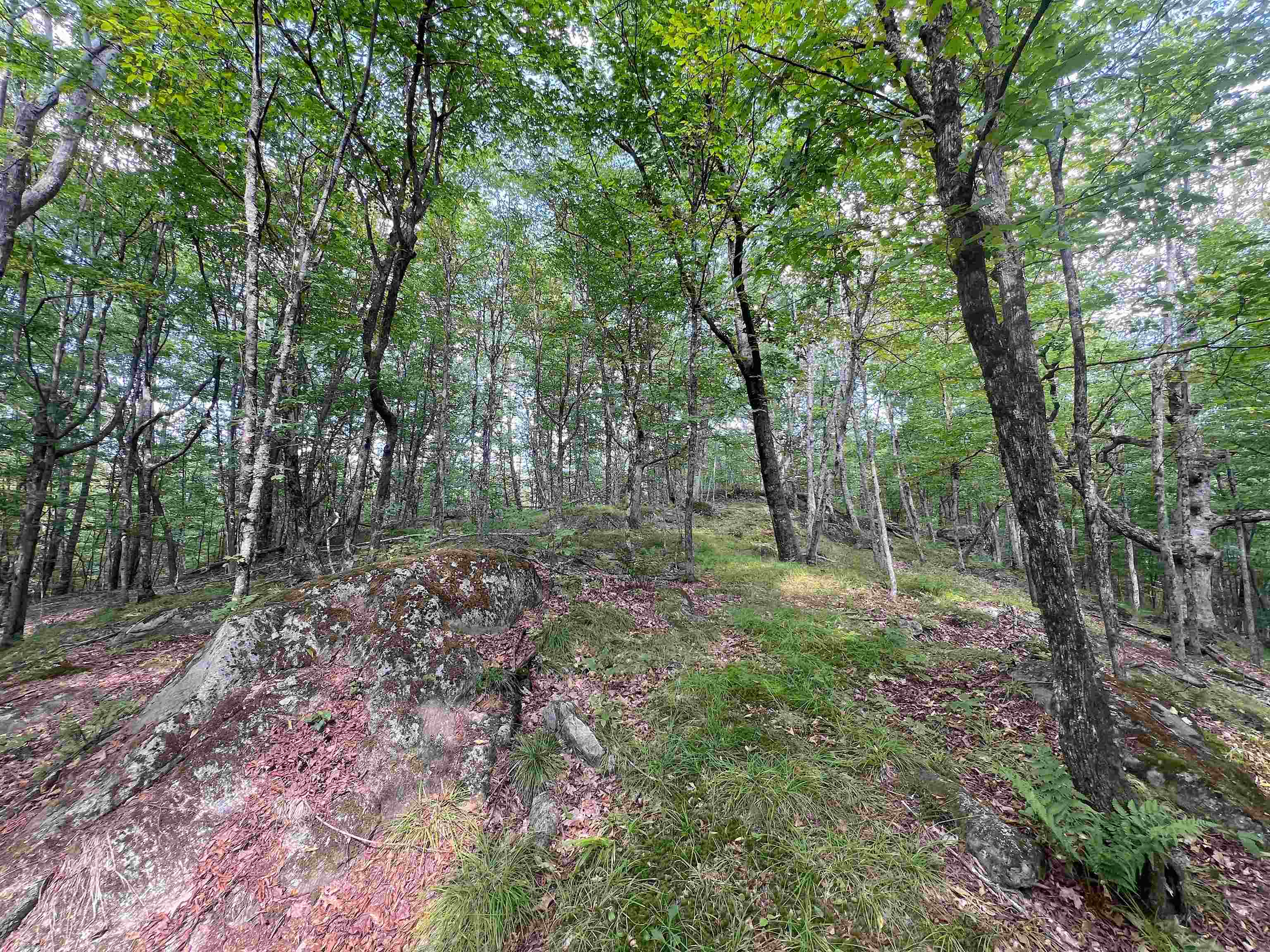 main property photo 30