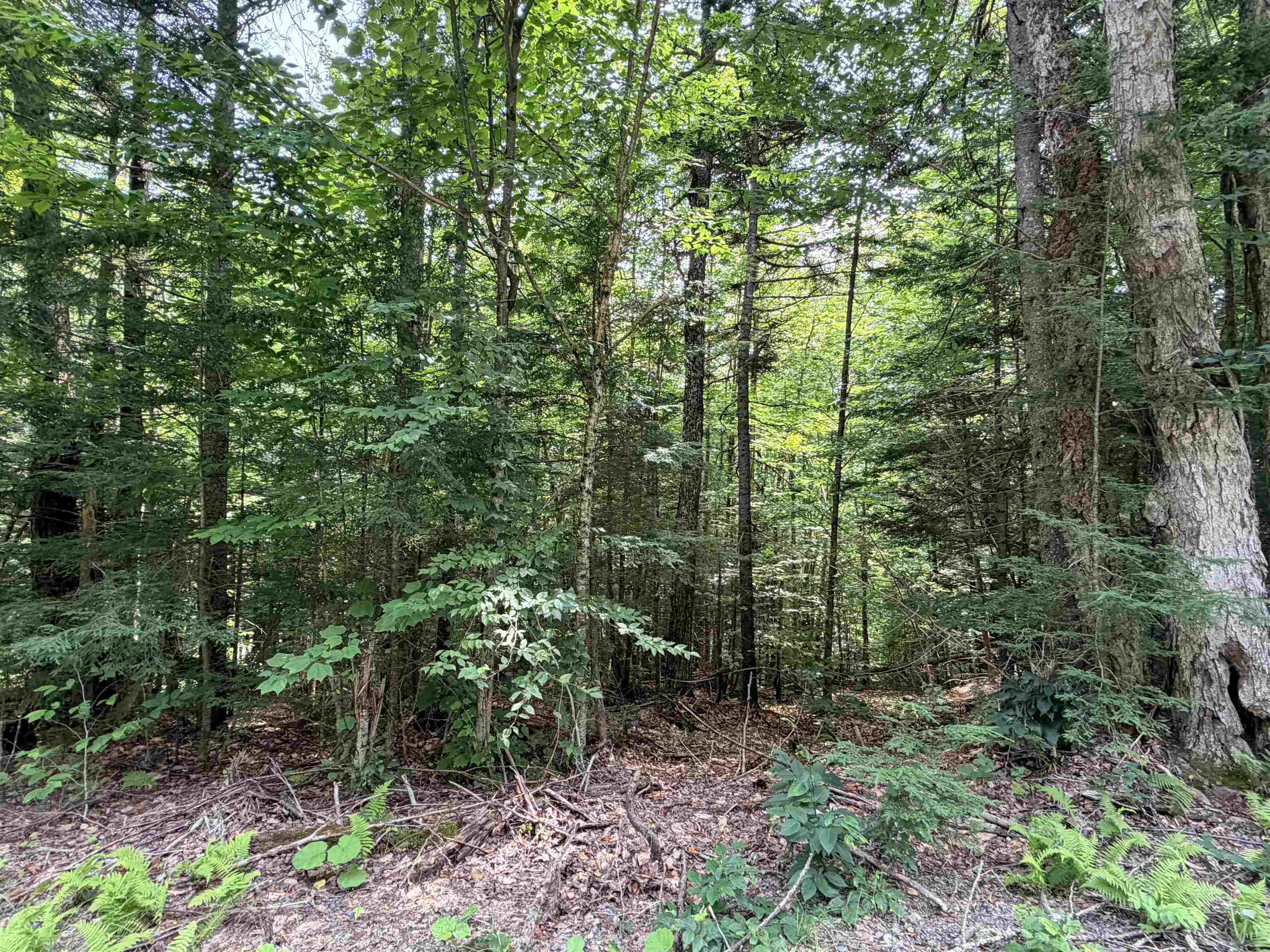 main property photo 12