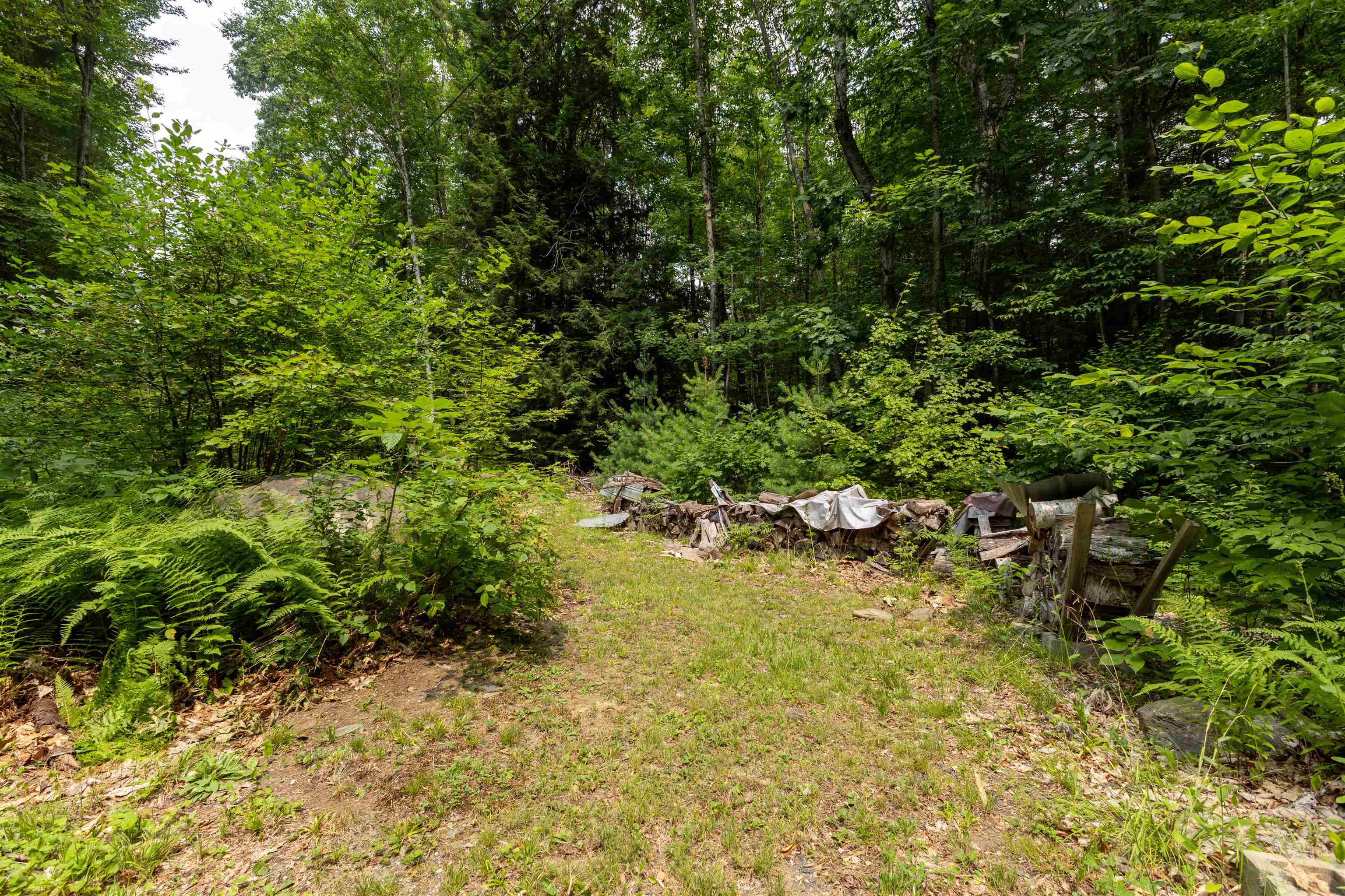 main property photo 48