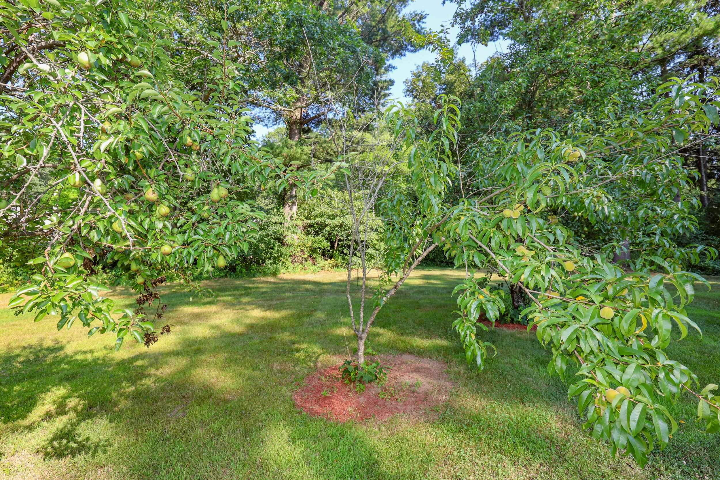 main property photo 51