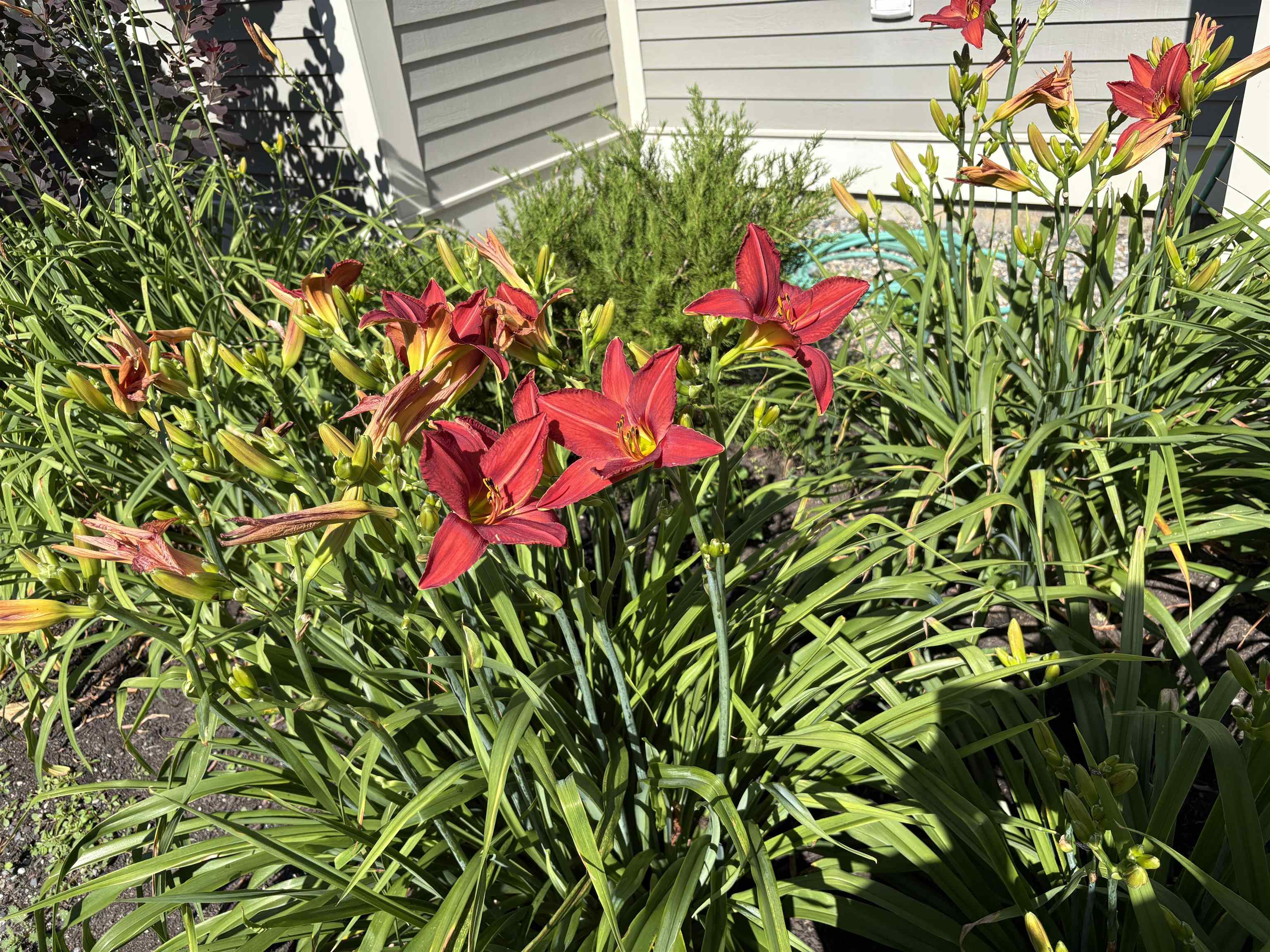 main property photo 55