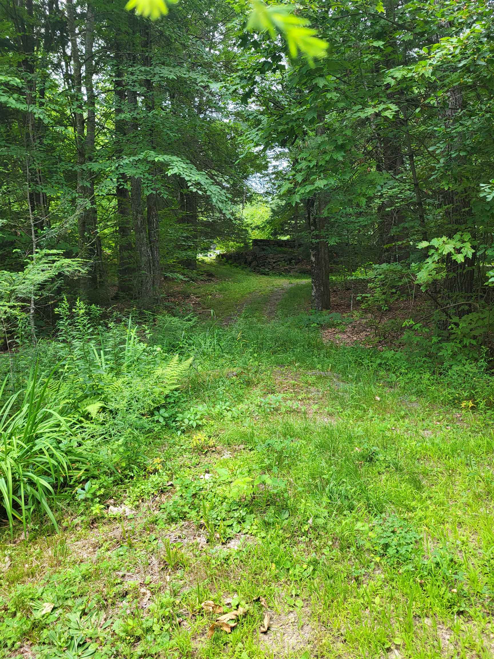 main property photo 52