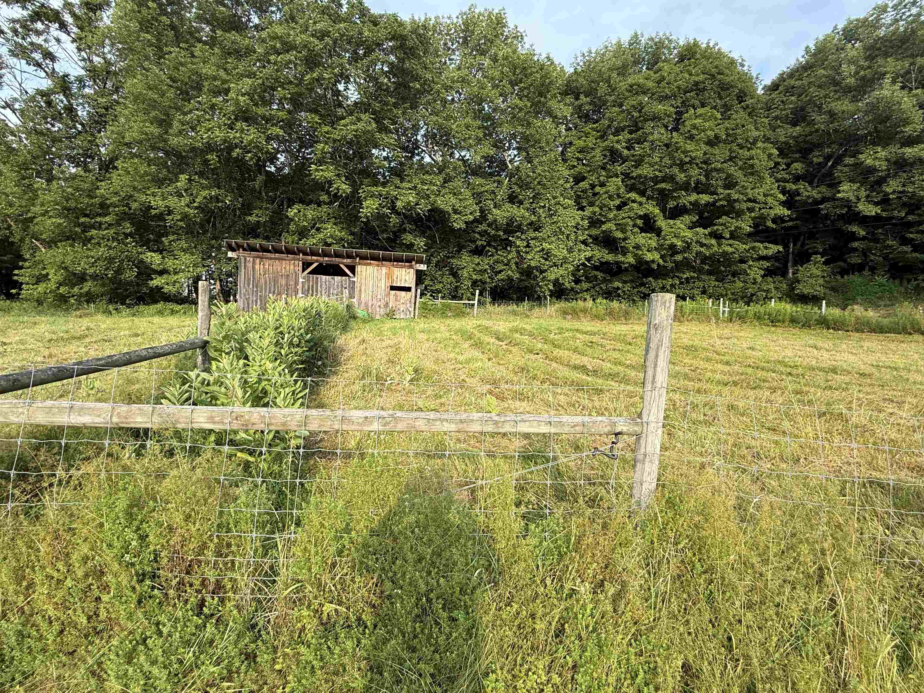 main property photo 50