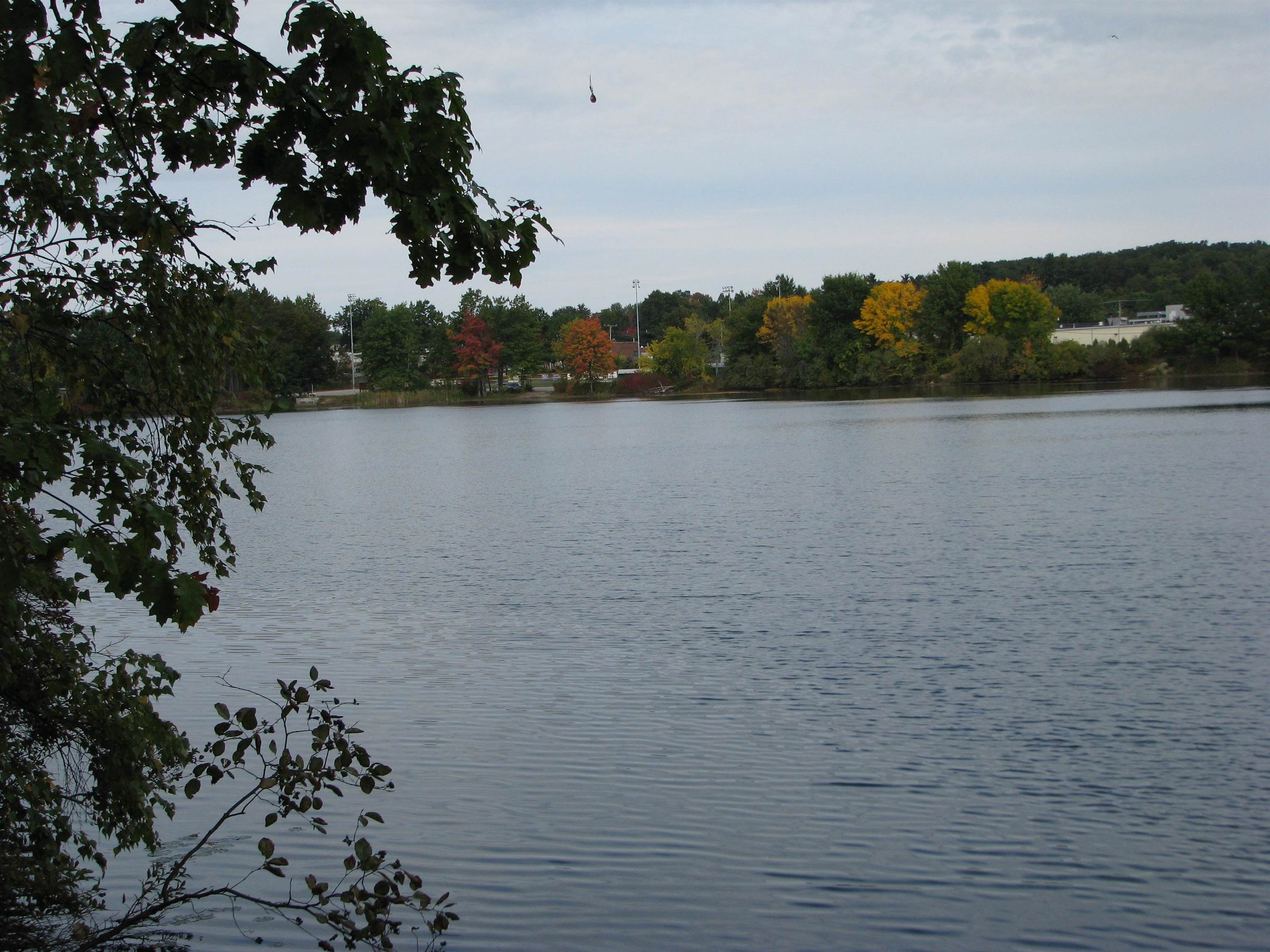 main property photo 38