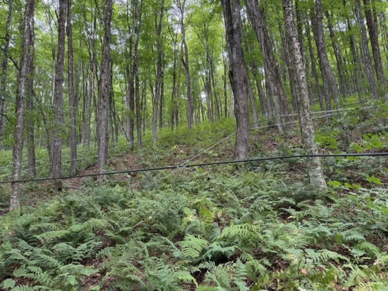 main property photo 49