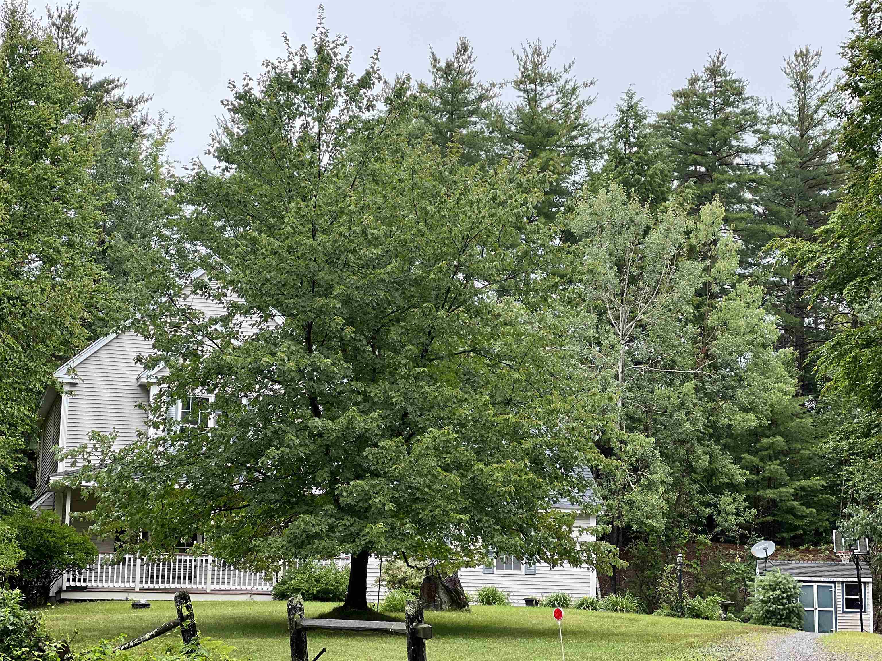 main property photo 51