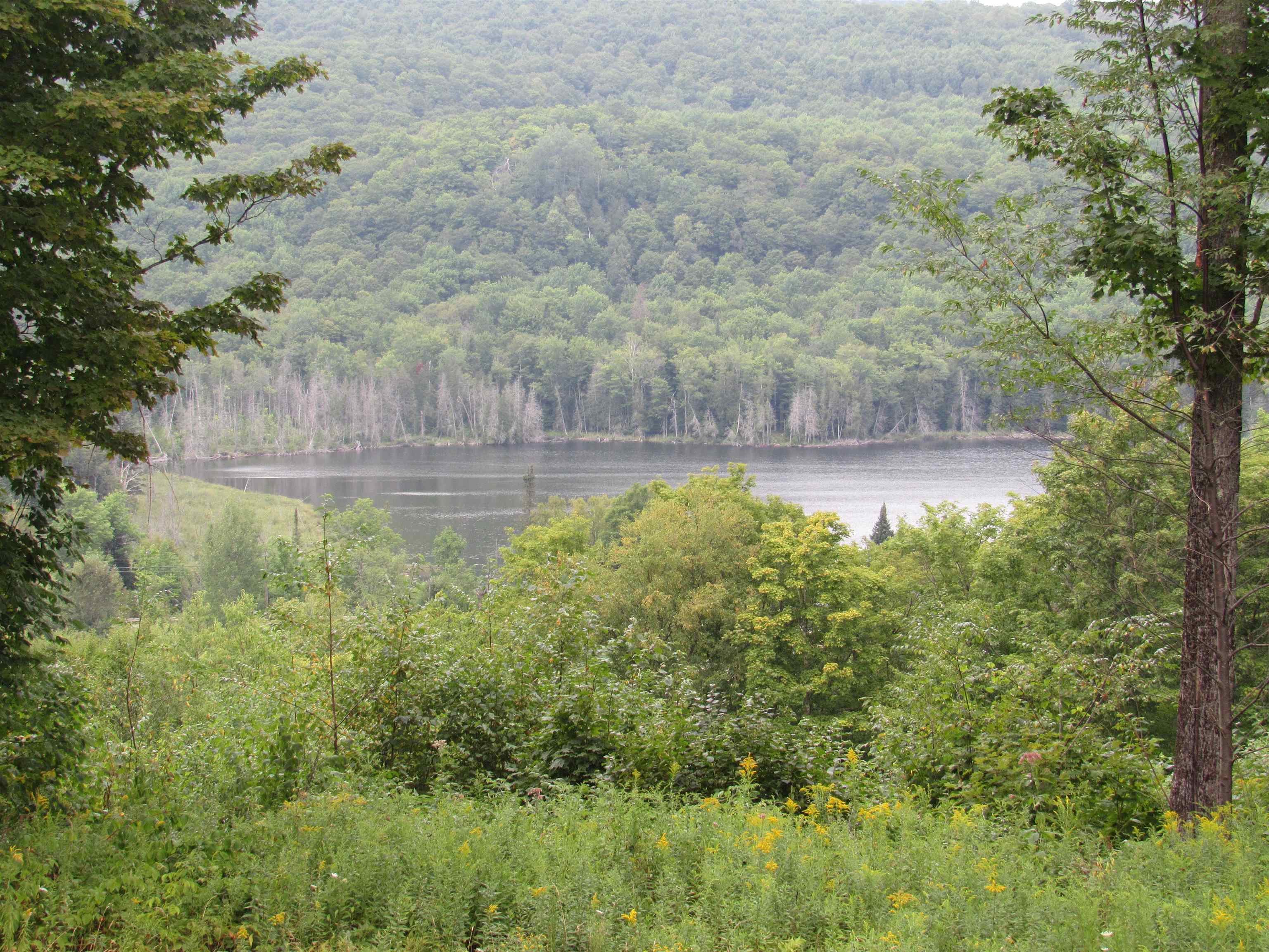main property photo 46