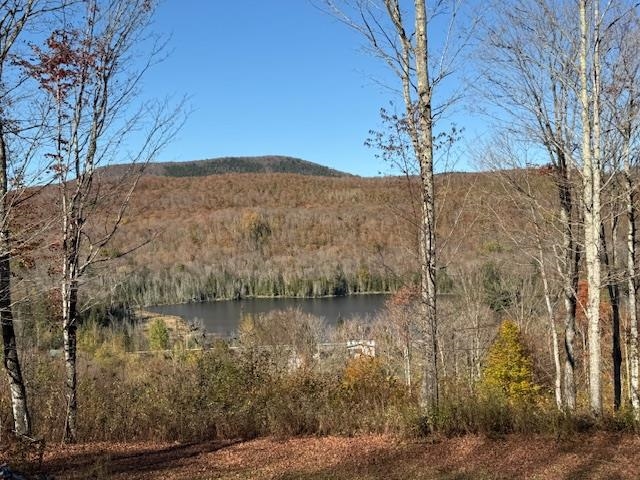 main property photo 48
