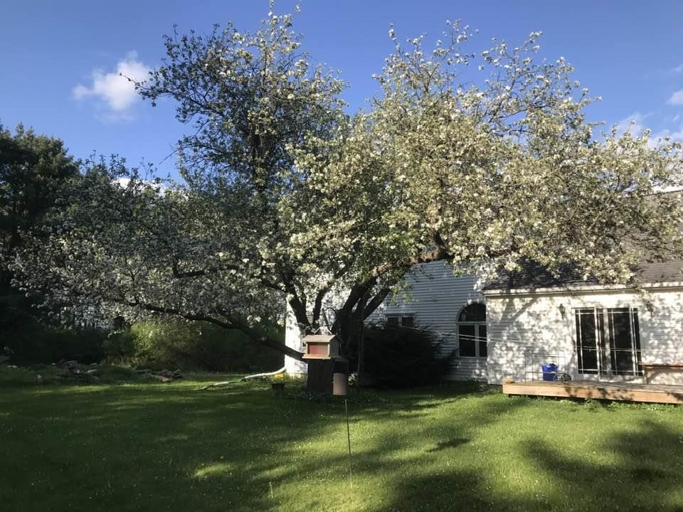 main property photo 18