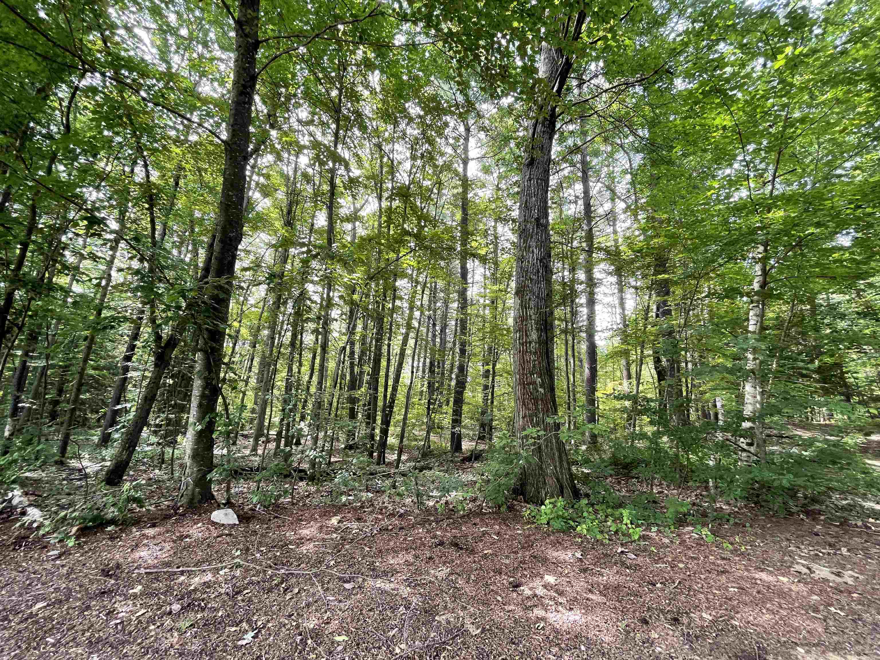main property photo 55