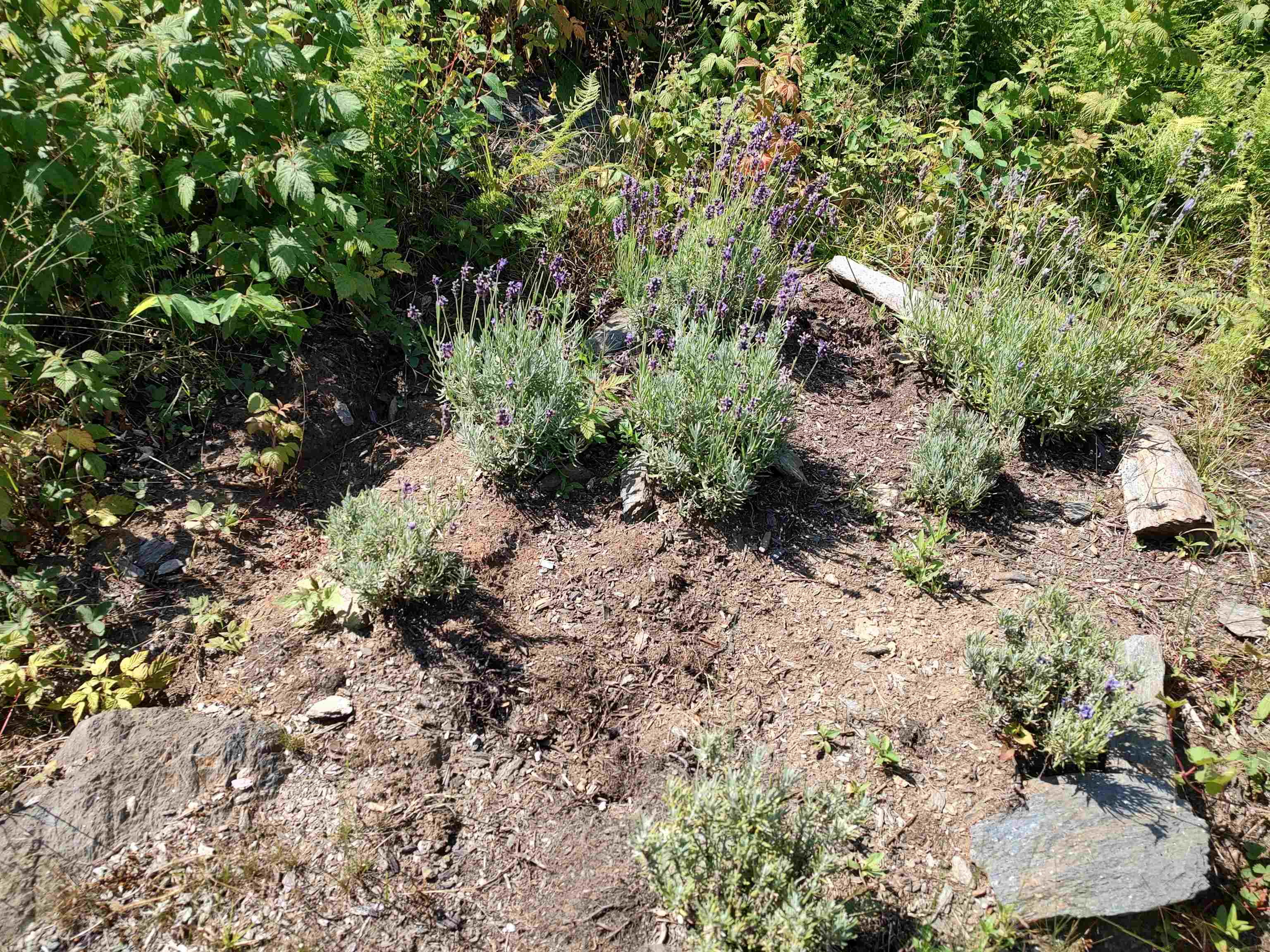 main property photo 10