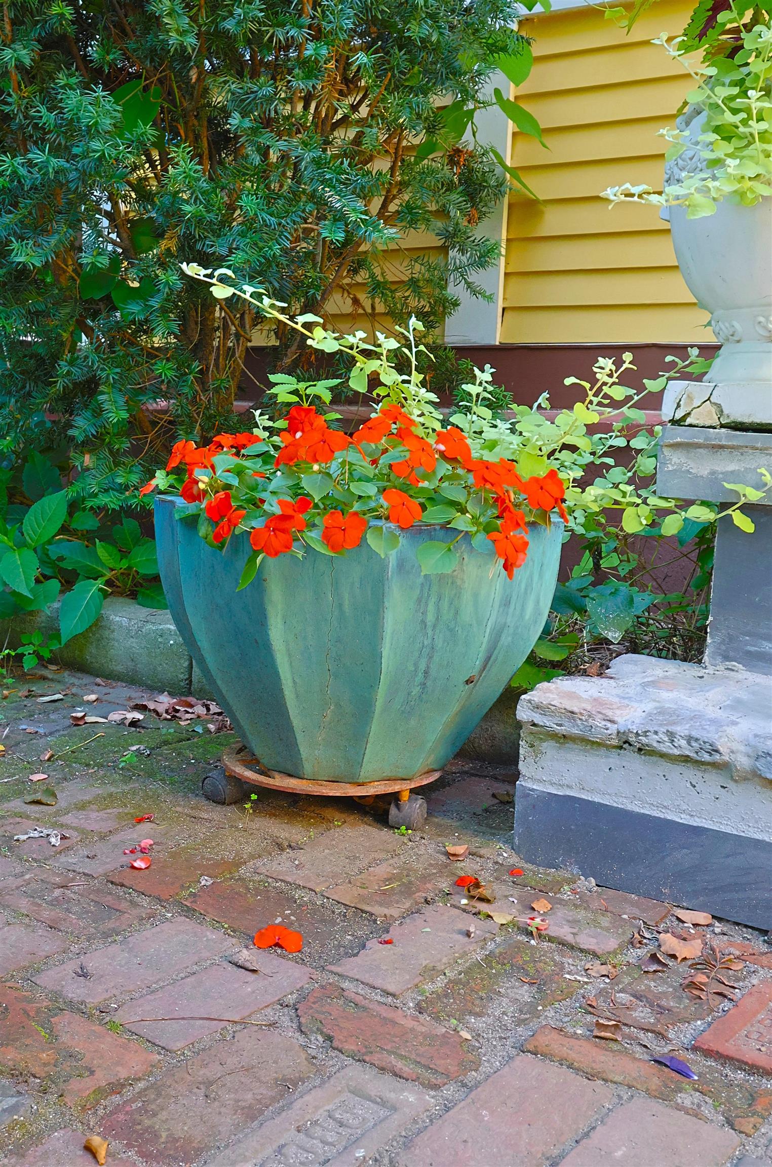 main property photo 48