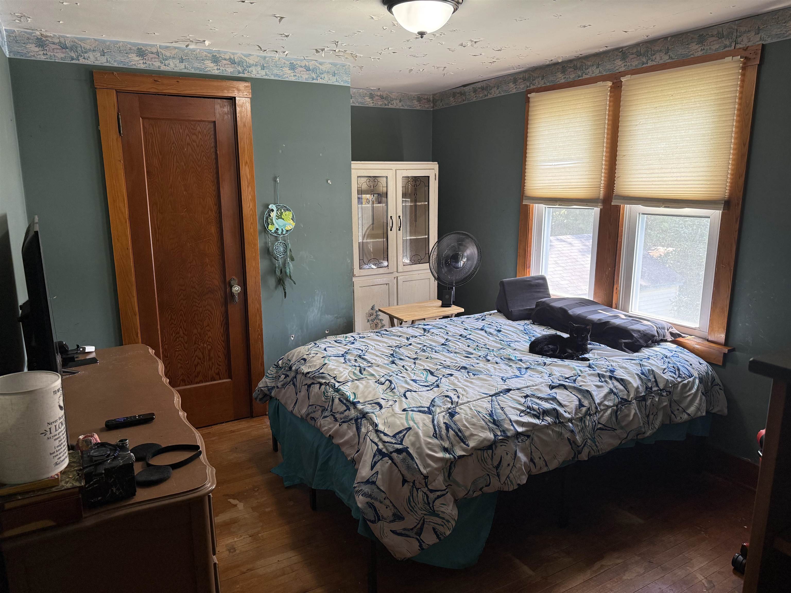 main property photo 41