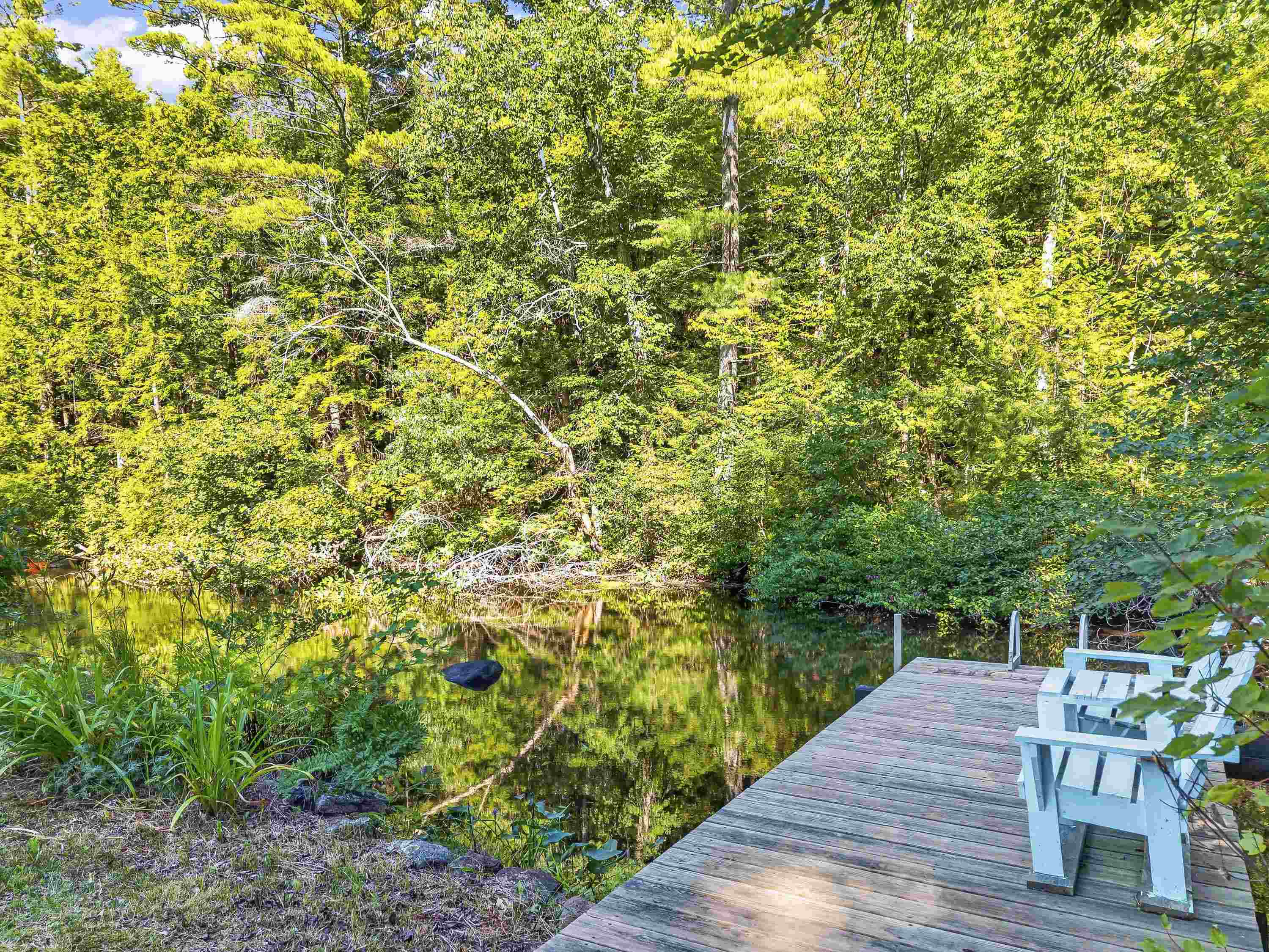 main property photo 54