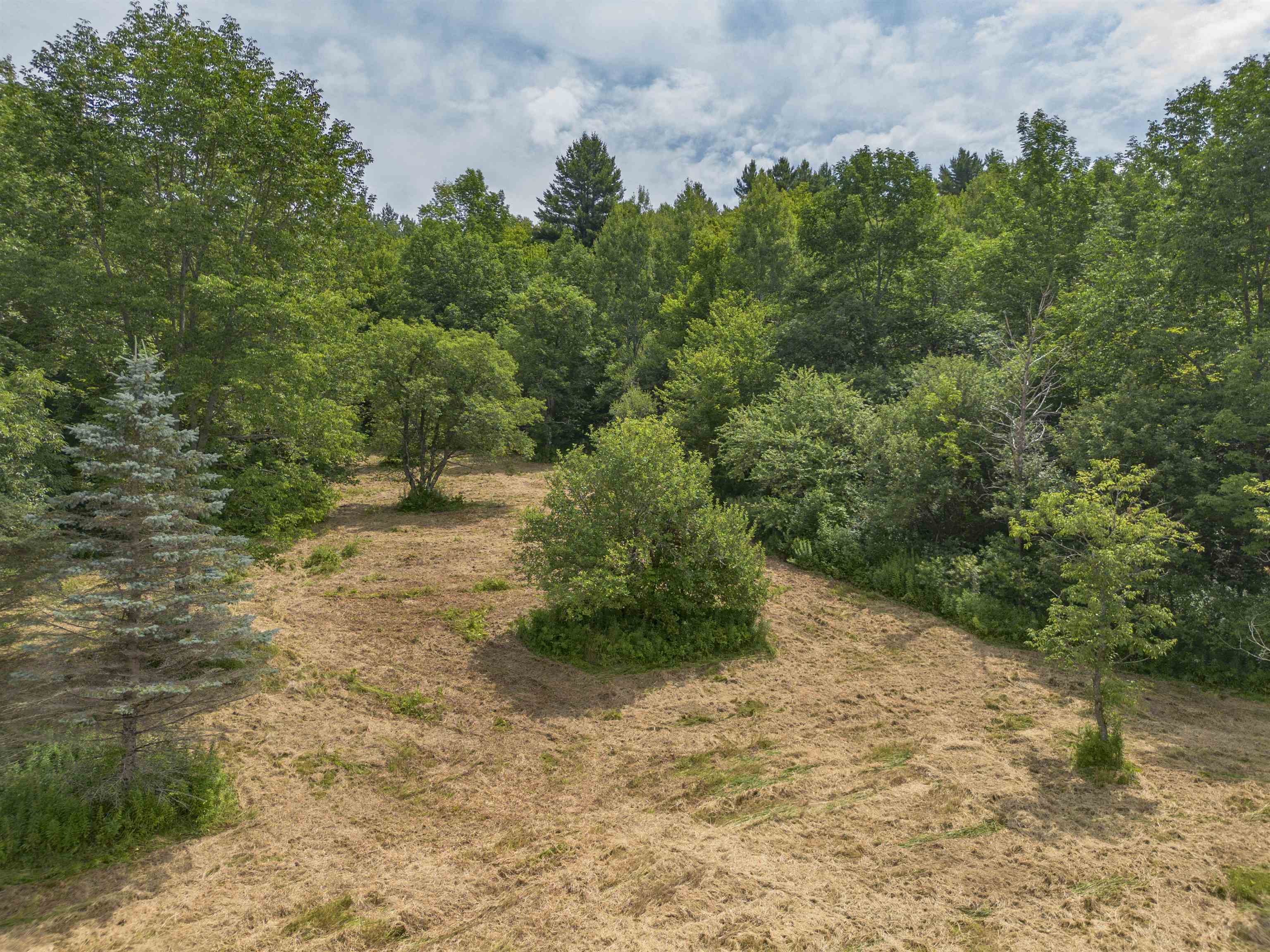 main property photo 52