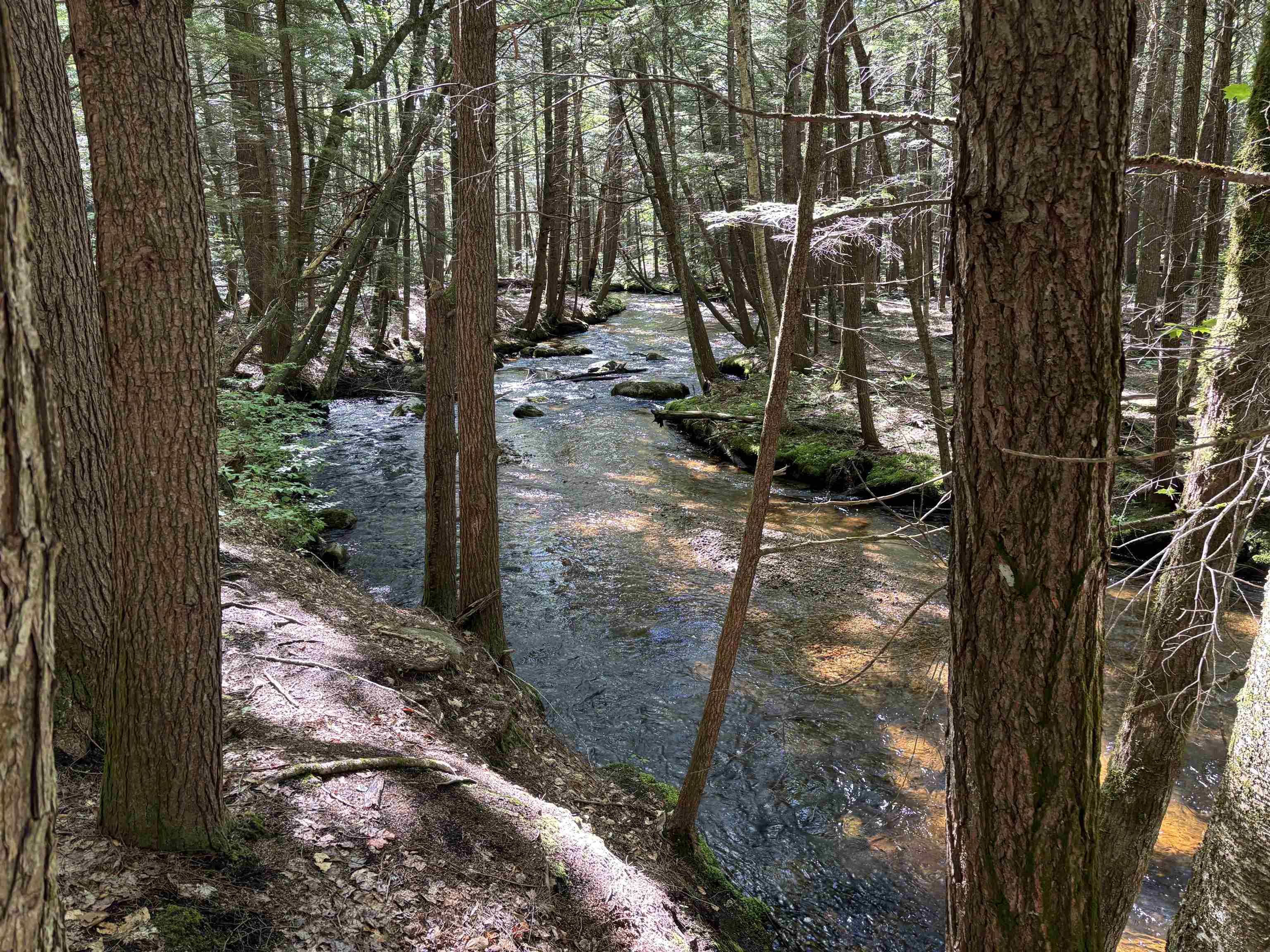 main property photo 25