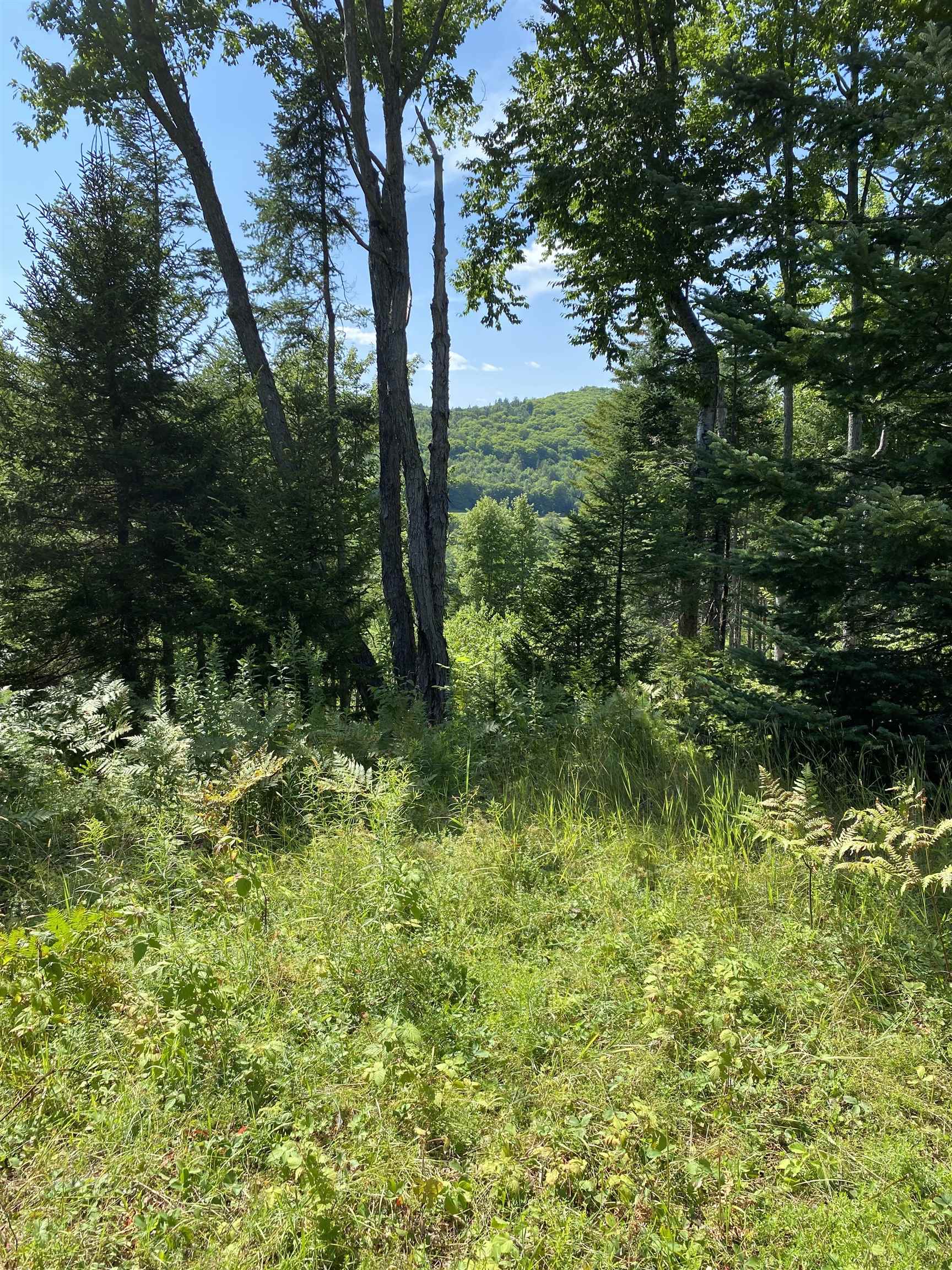 main property photo 59