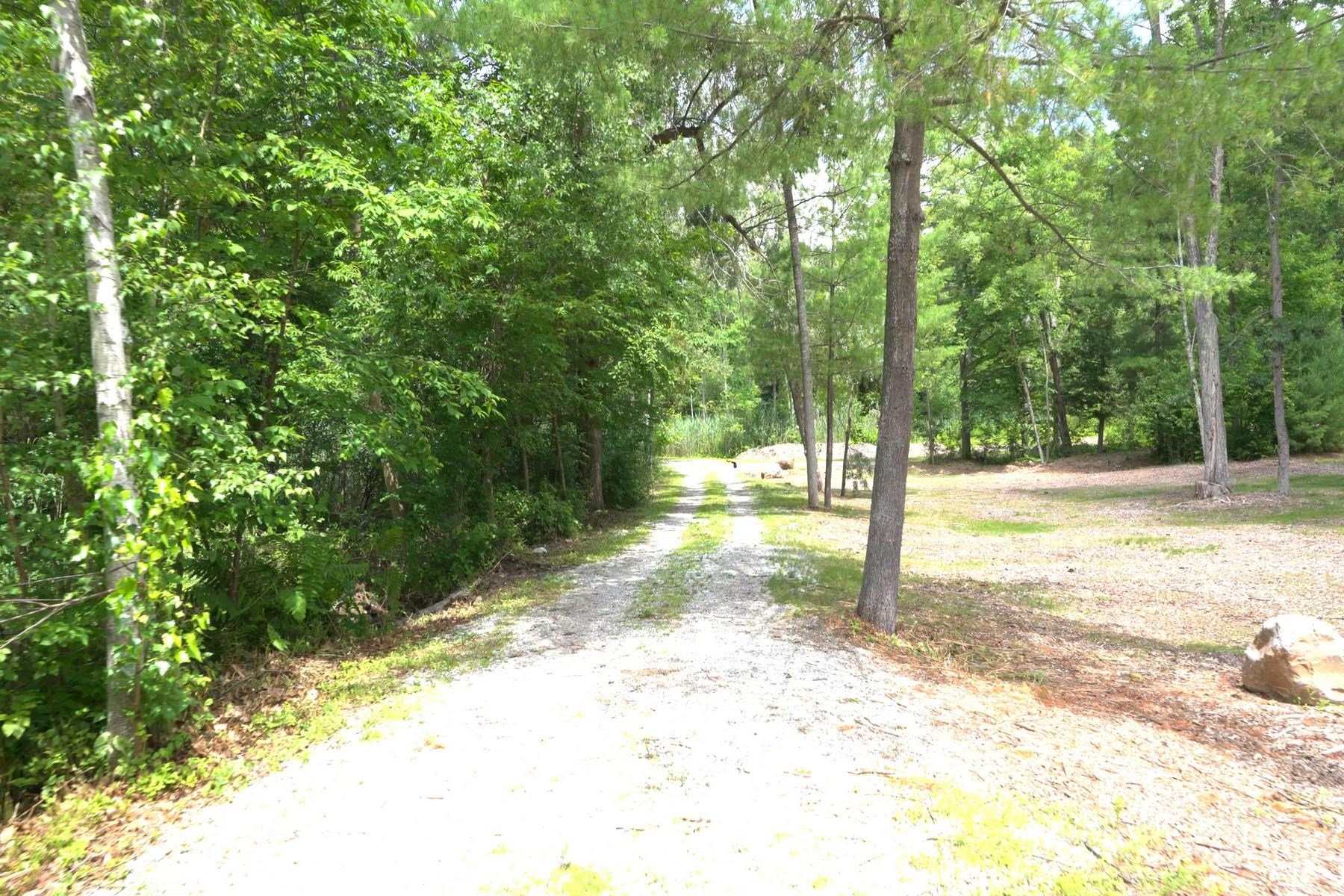 main property photo 6