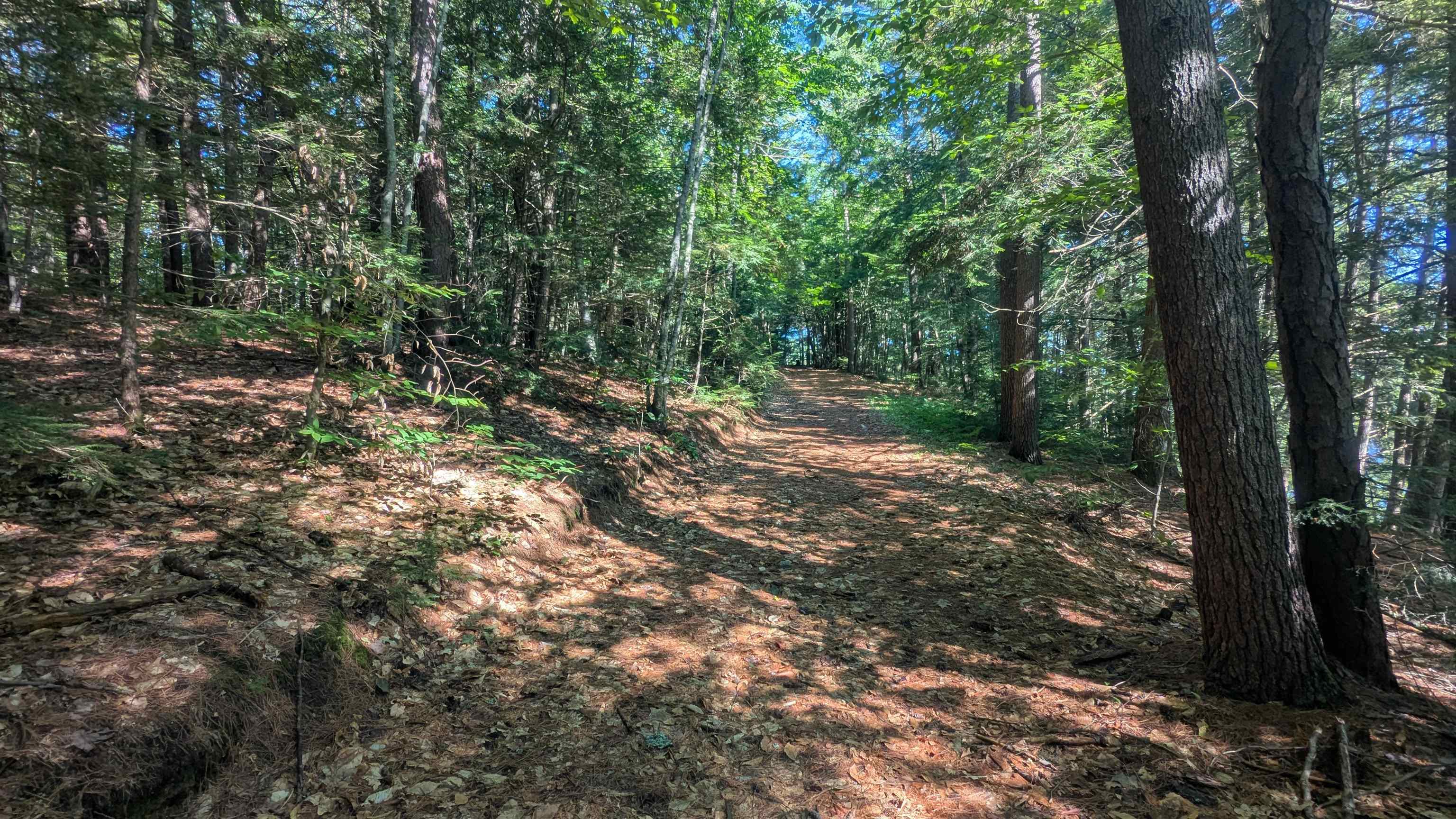 main property photo 37