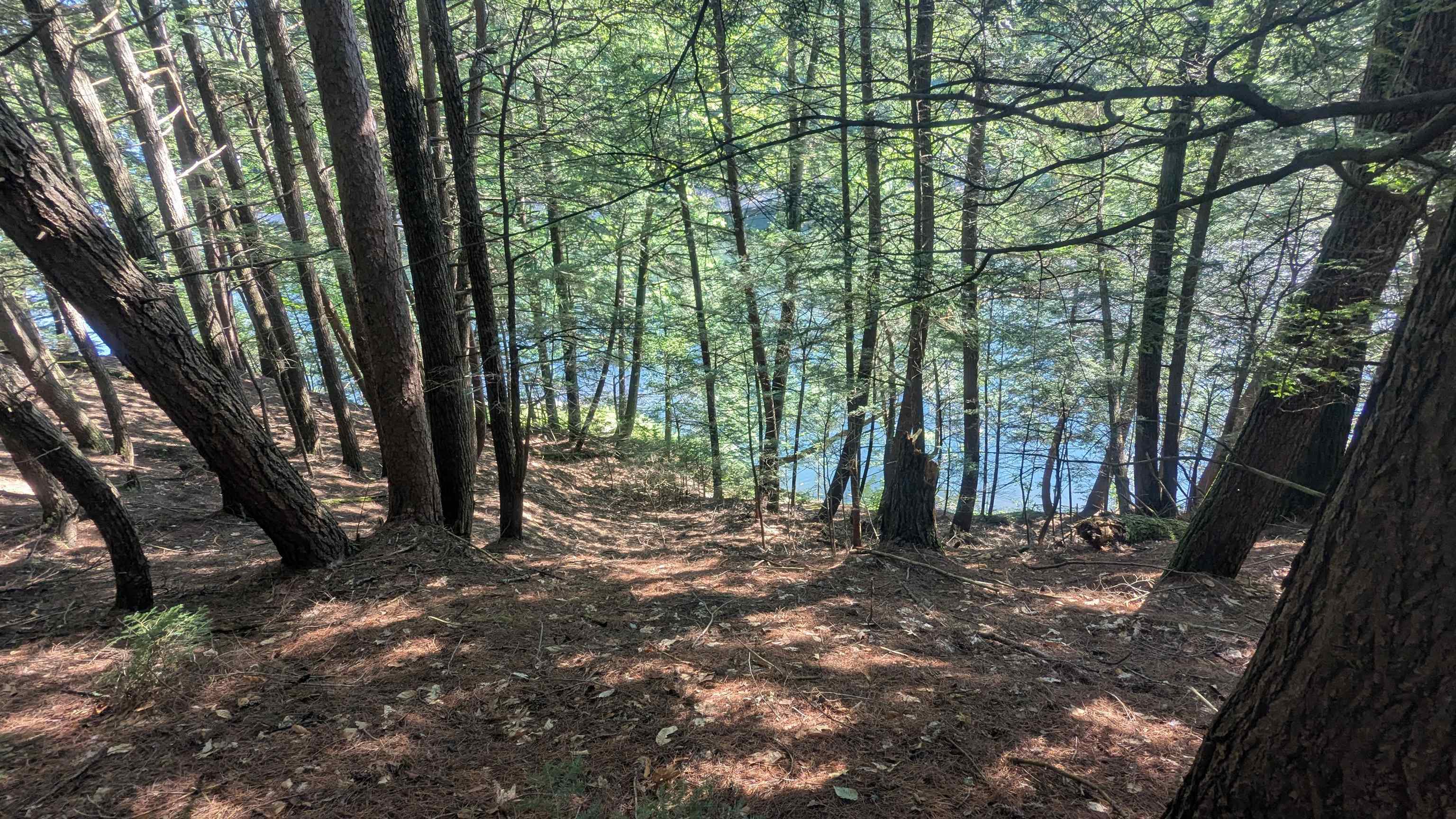 main property photo 38