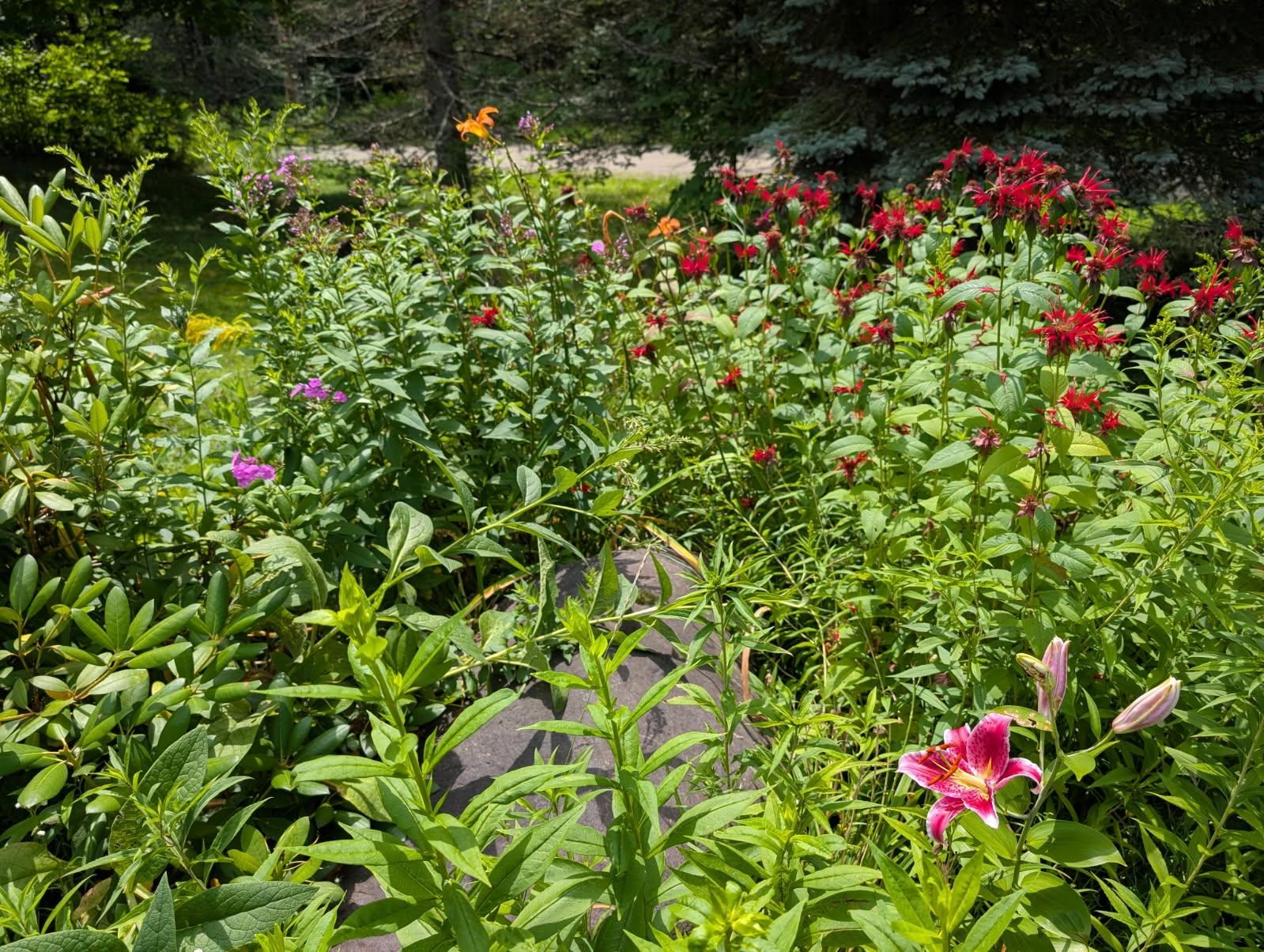 main property photo 19