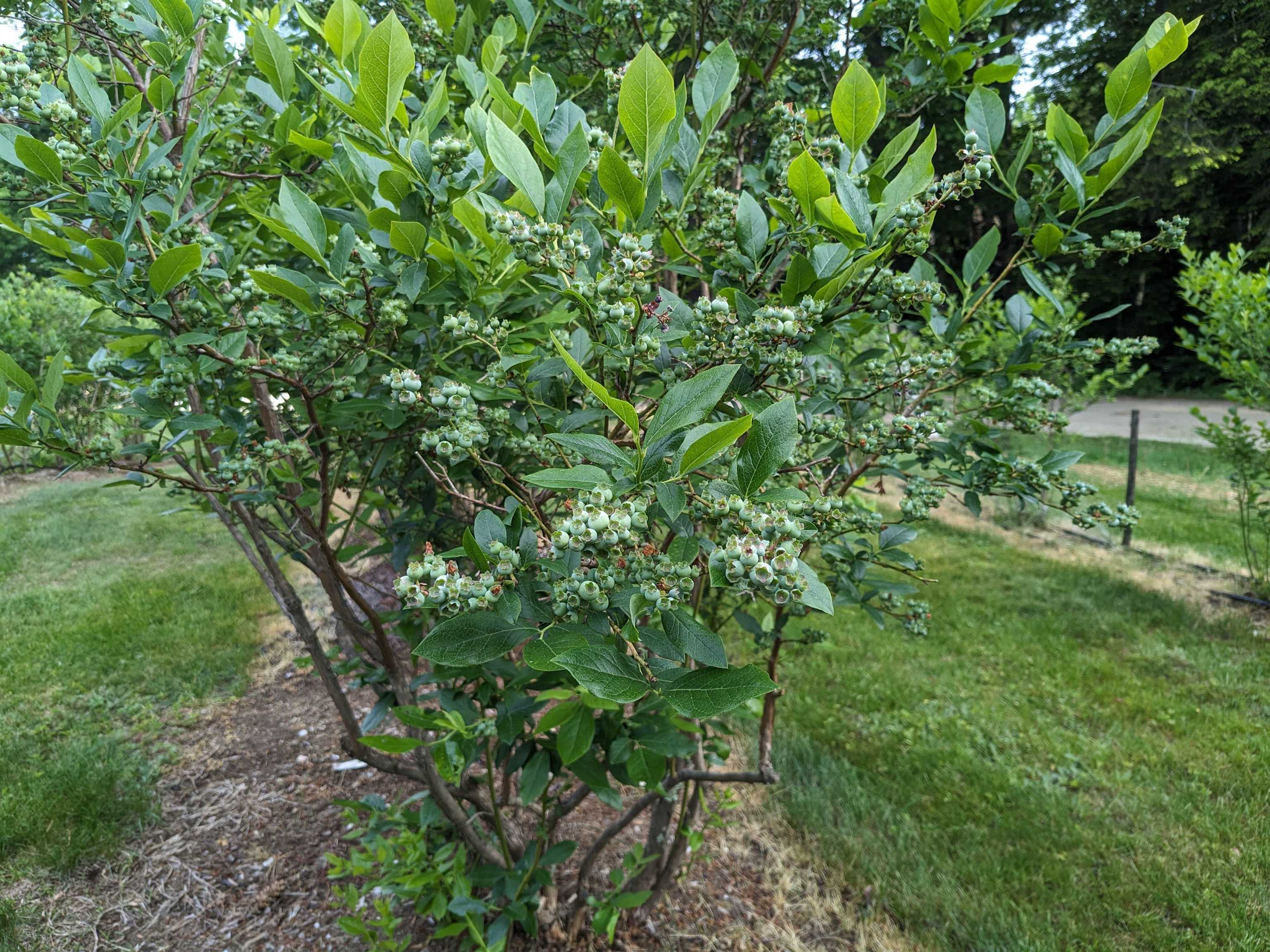 main property photo 51
