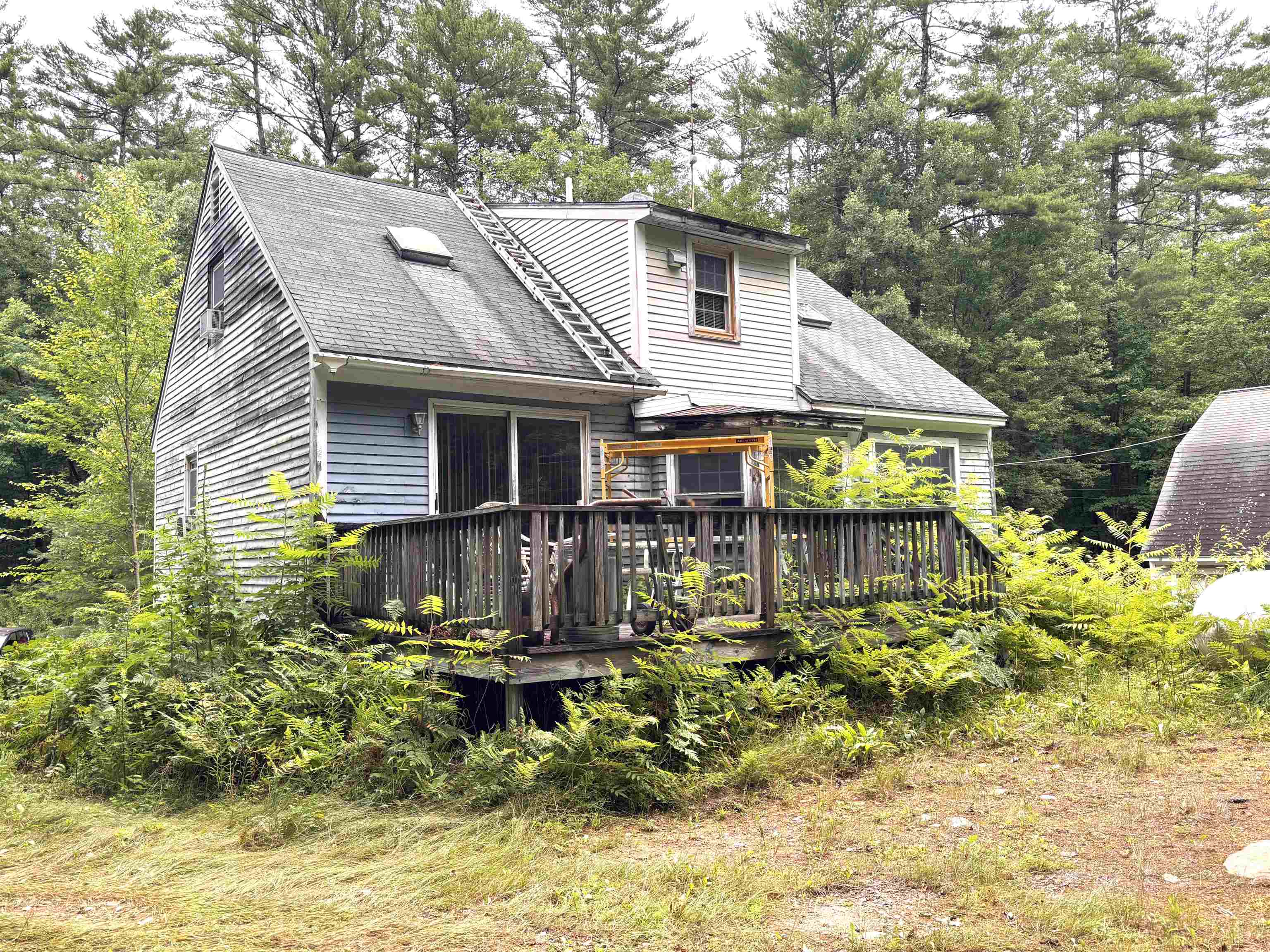 main property photo 4