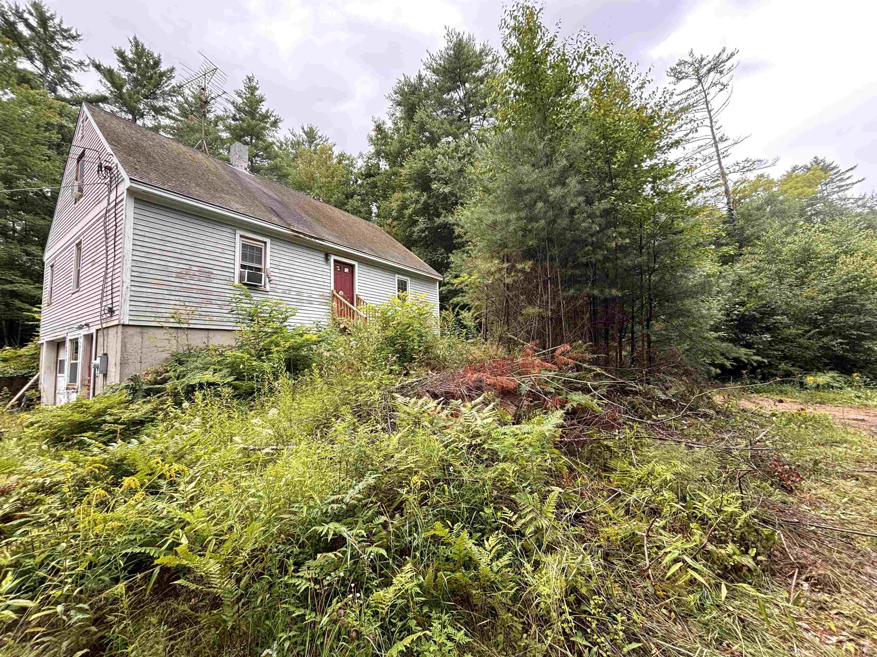 main property photo 48