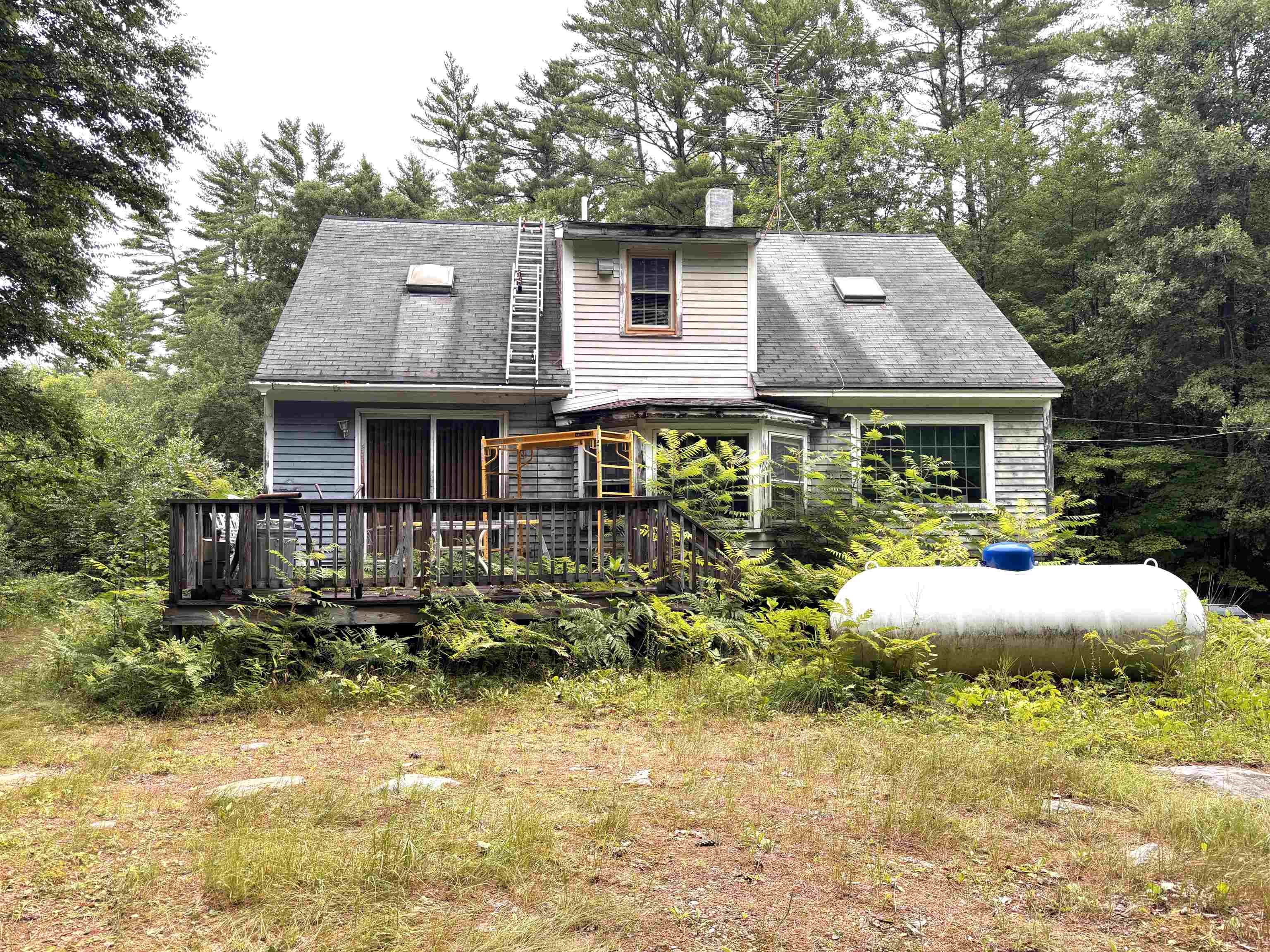 main property photo 49