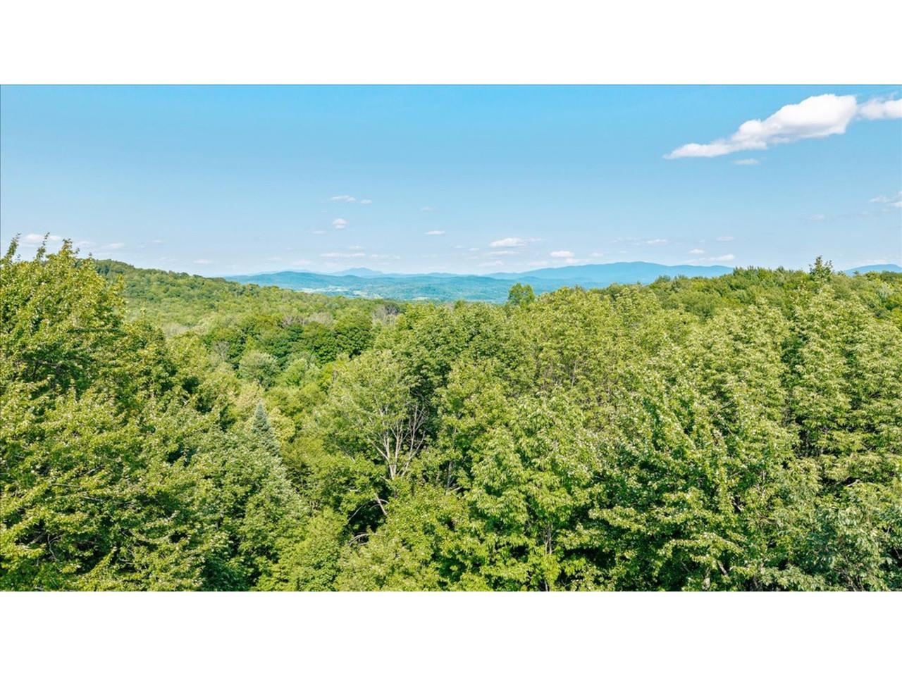 main property photo 59