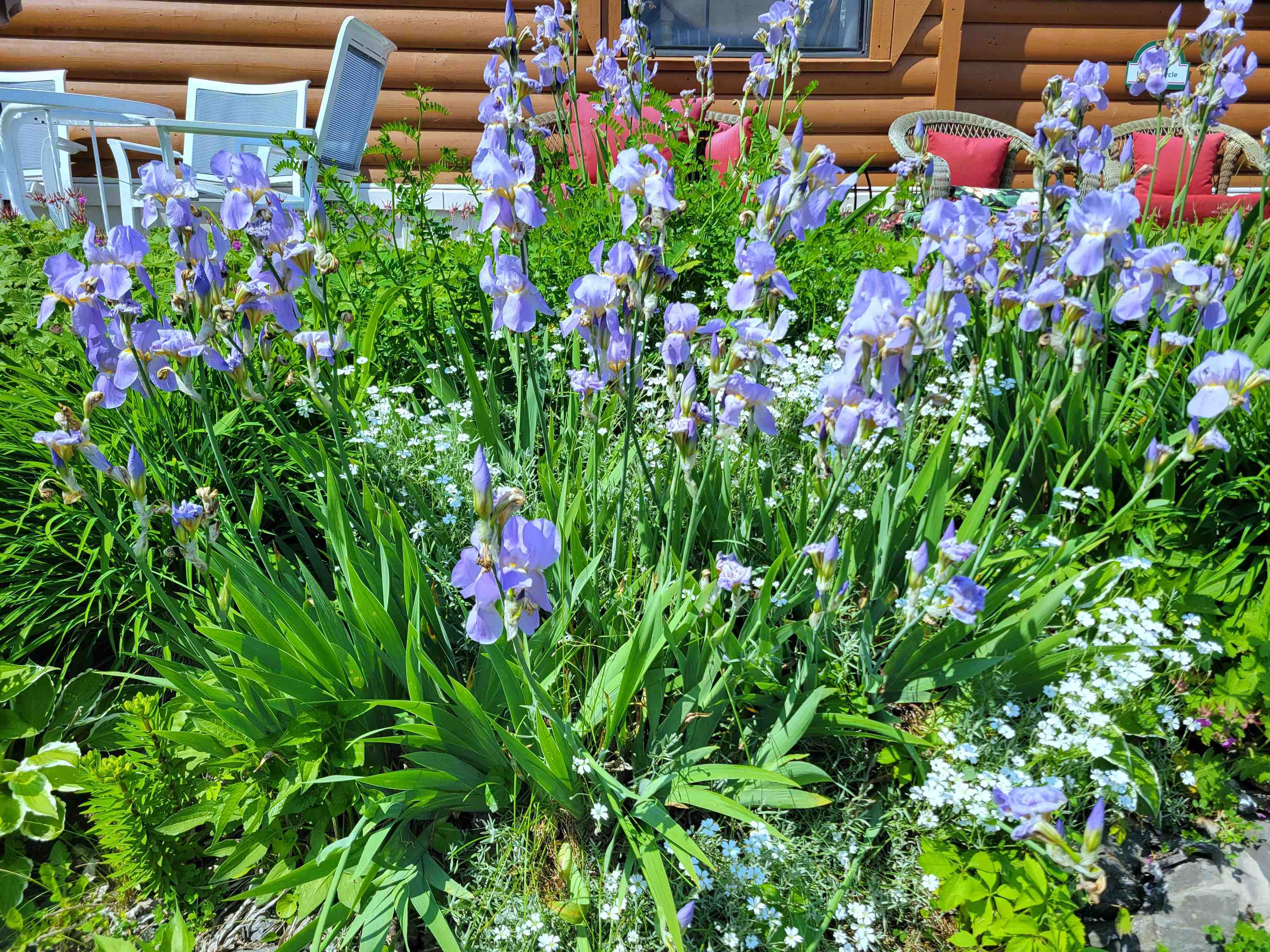 main property photo 30
