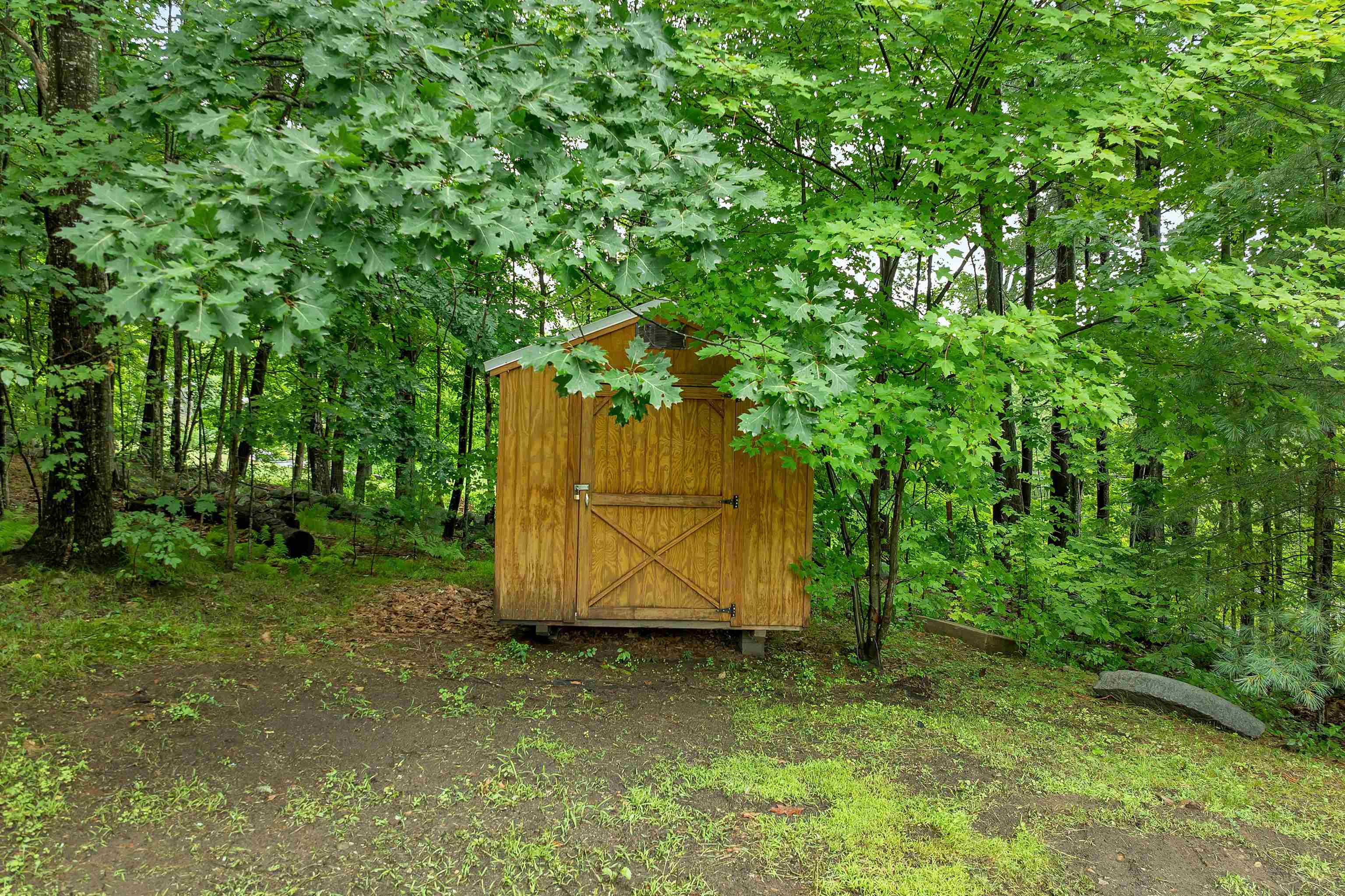 main property photo 54
