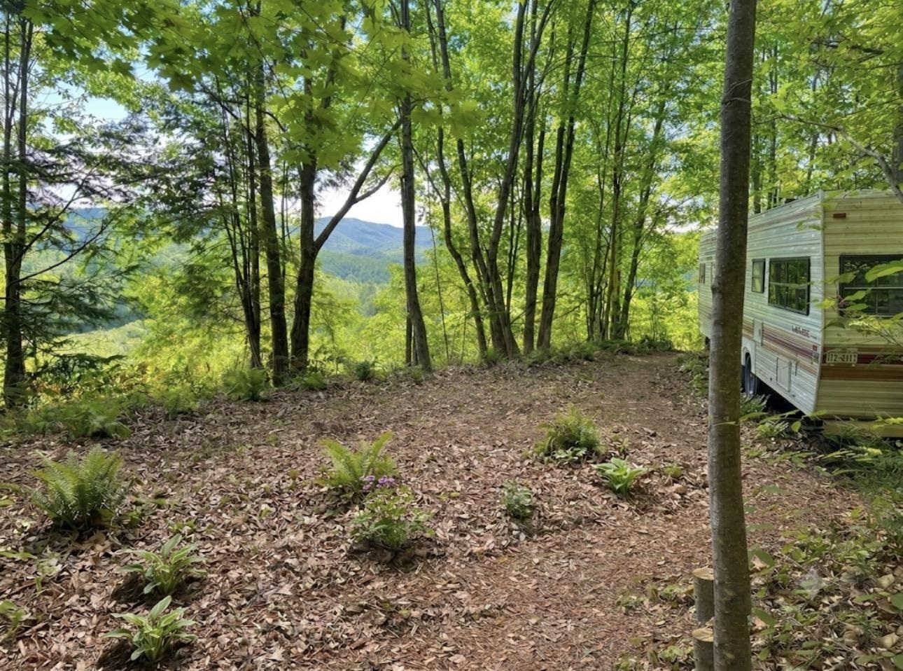 main property photo 50