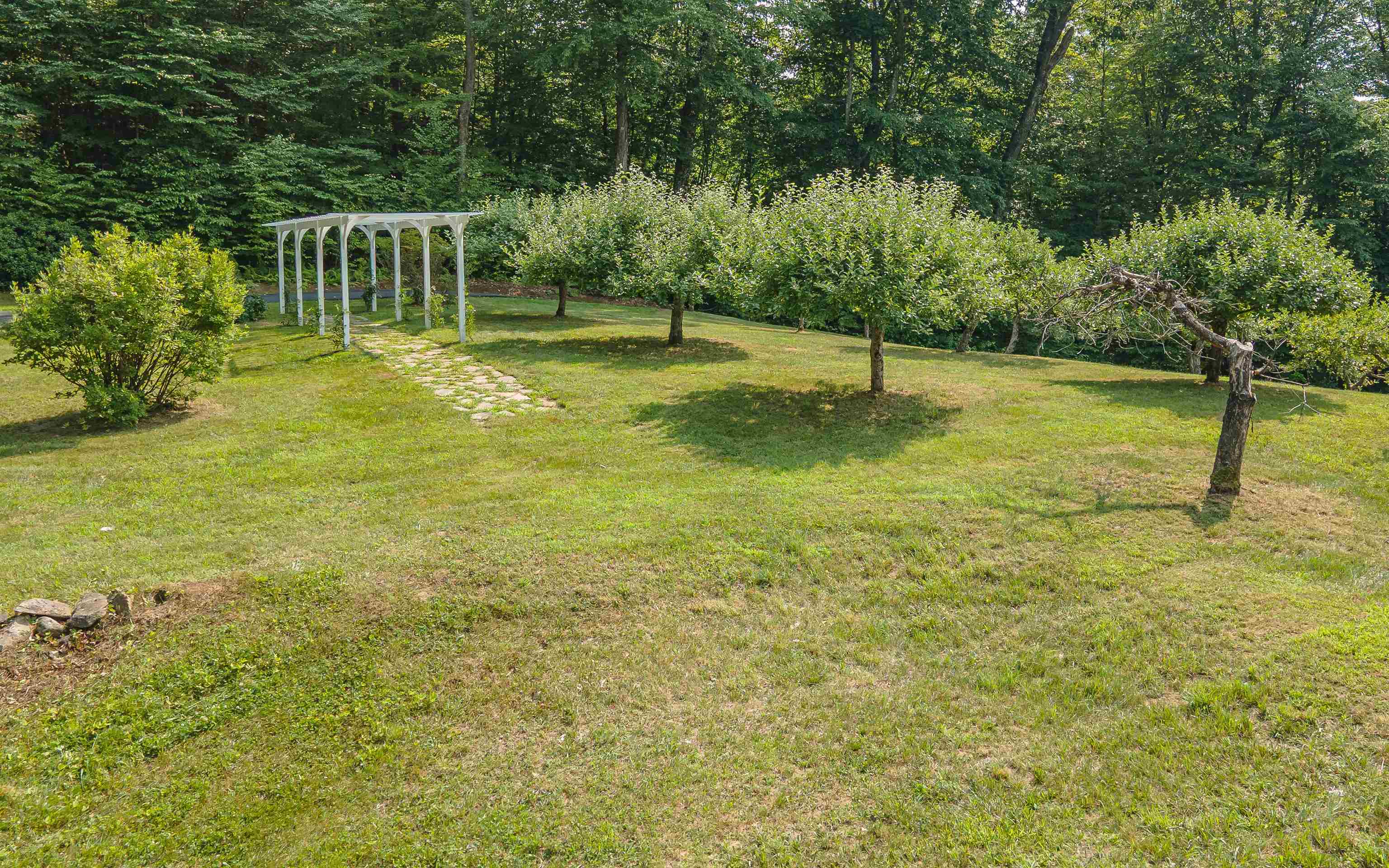 main property photo 45