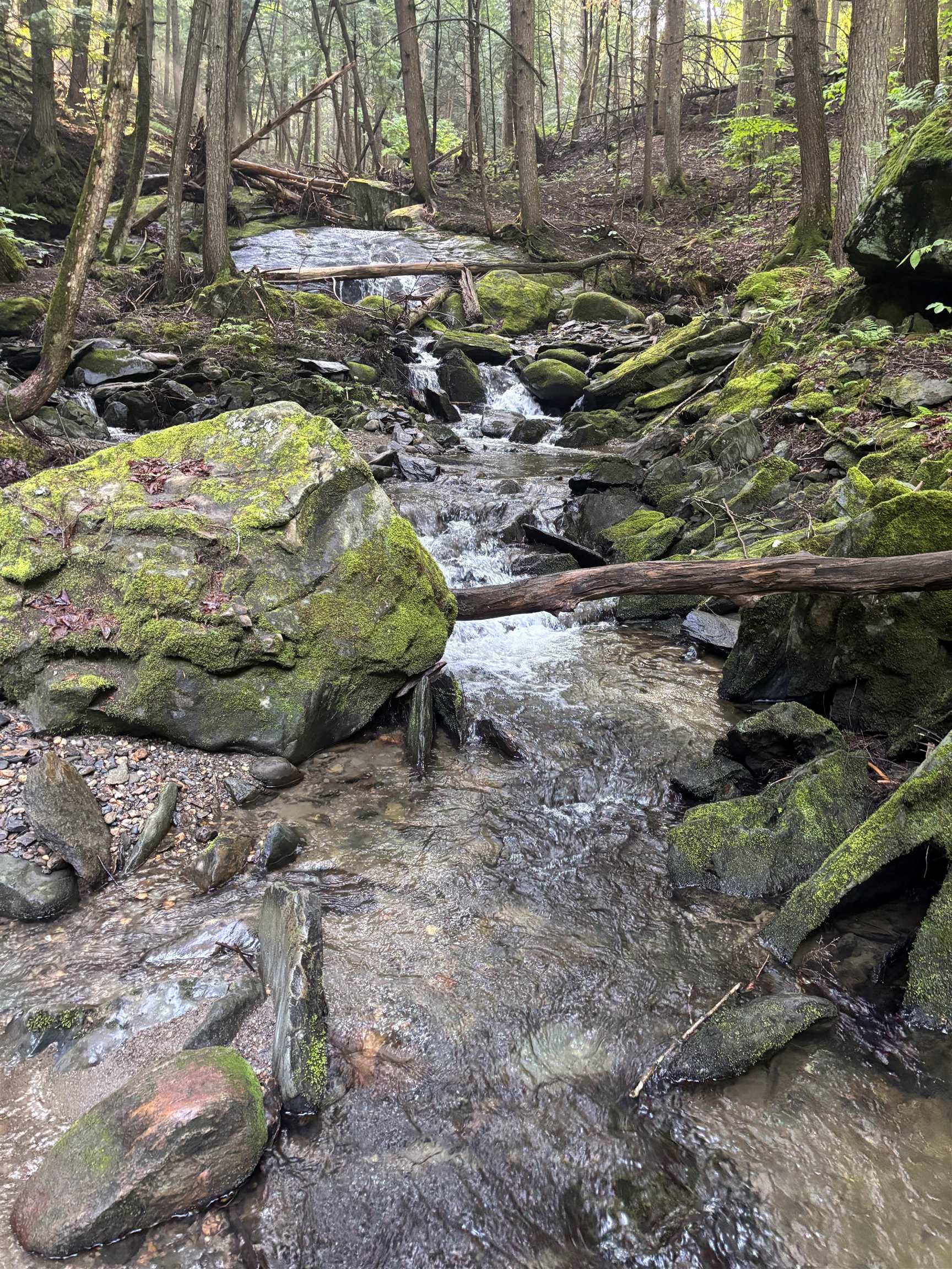 main property photo 44