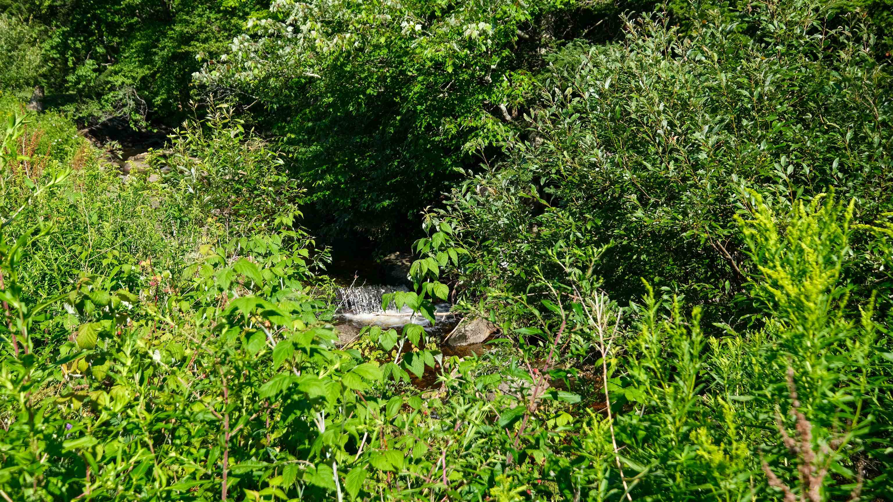 main property photo 59