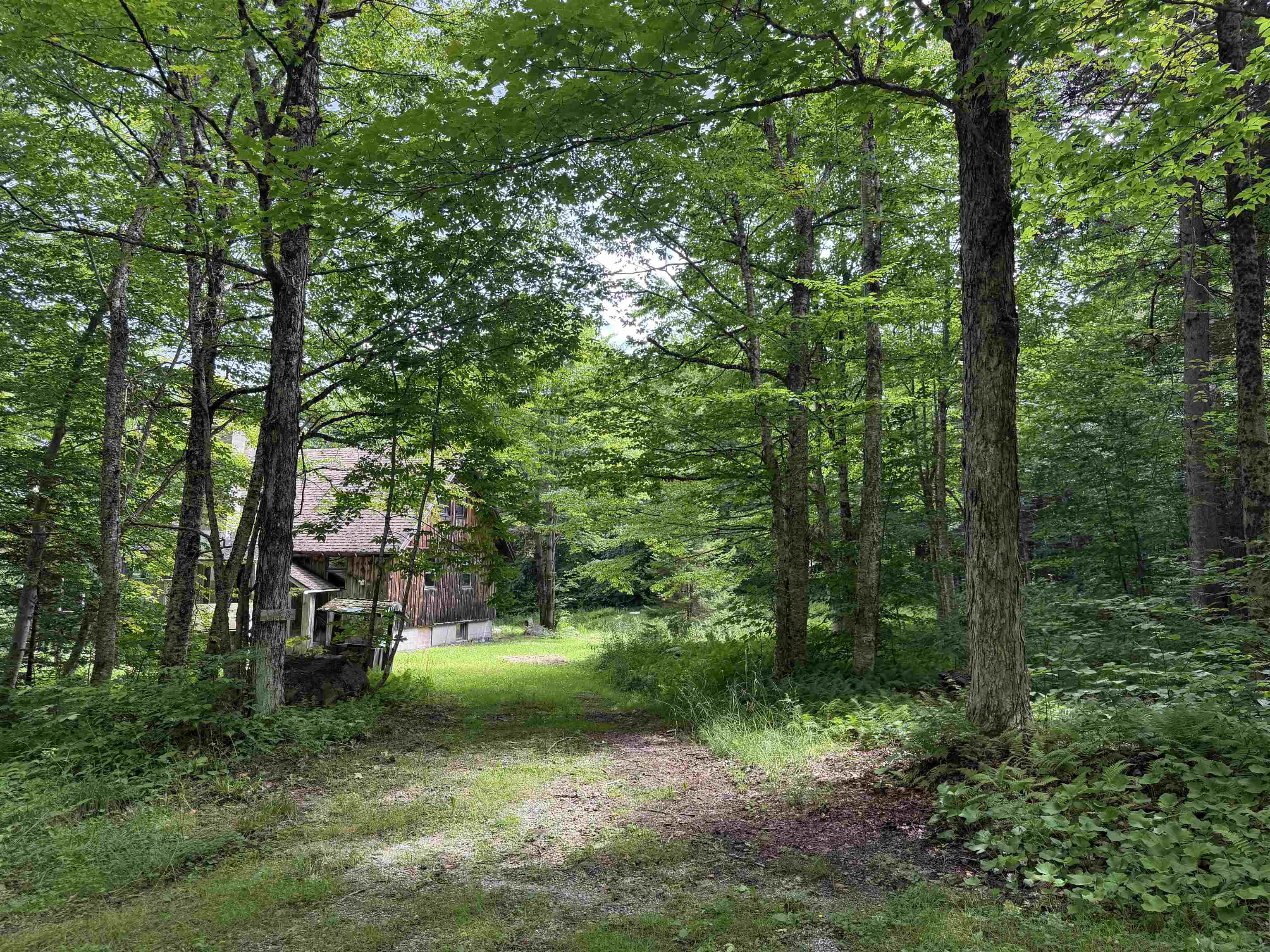 main property photo 9