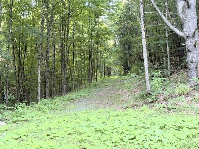 main property photo 34