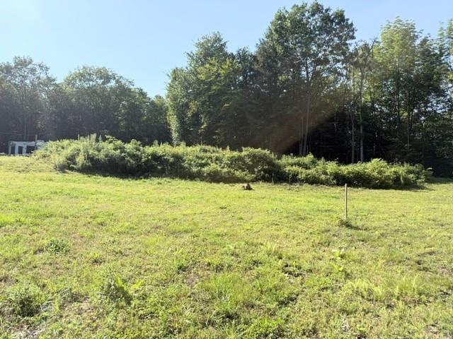 main property photo 42