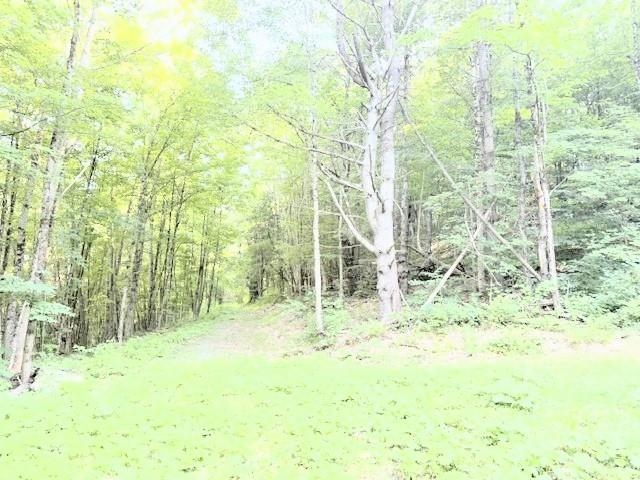 main property photo 45