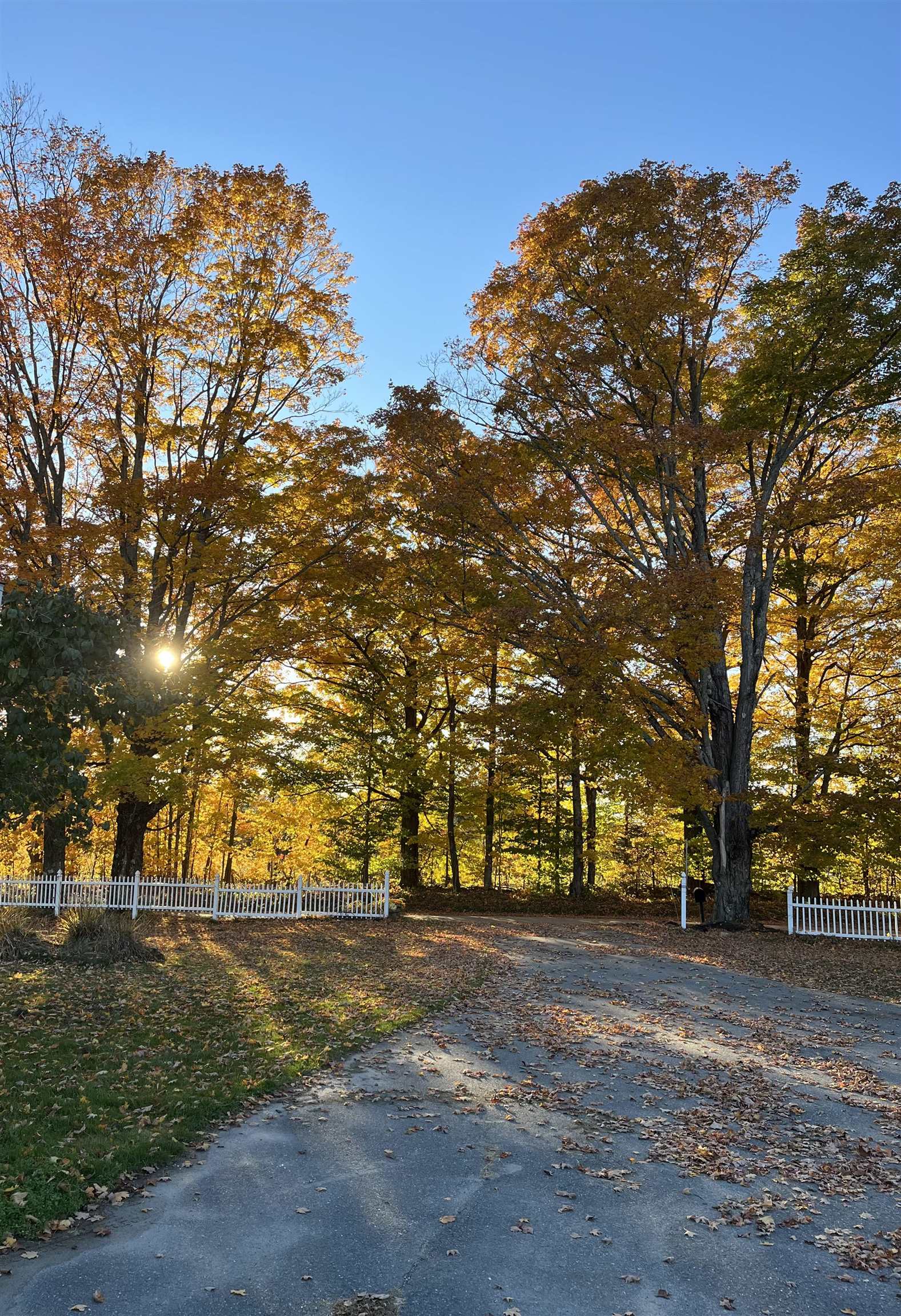 main property photo 35