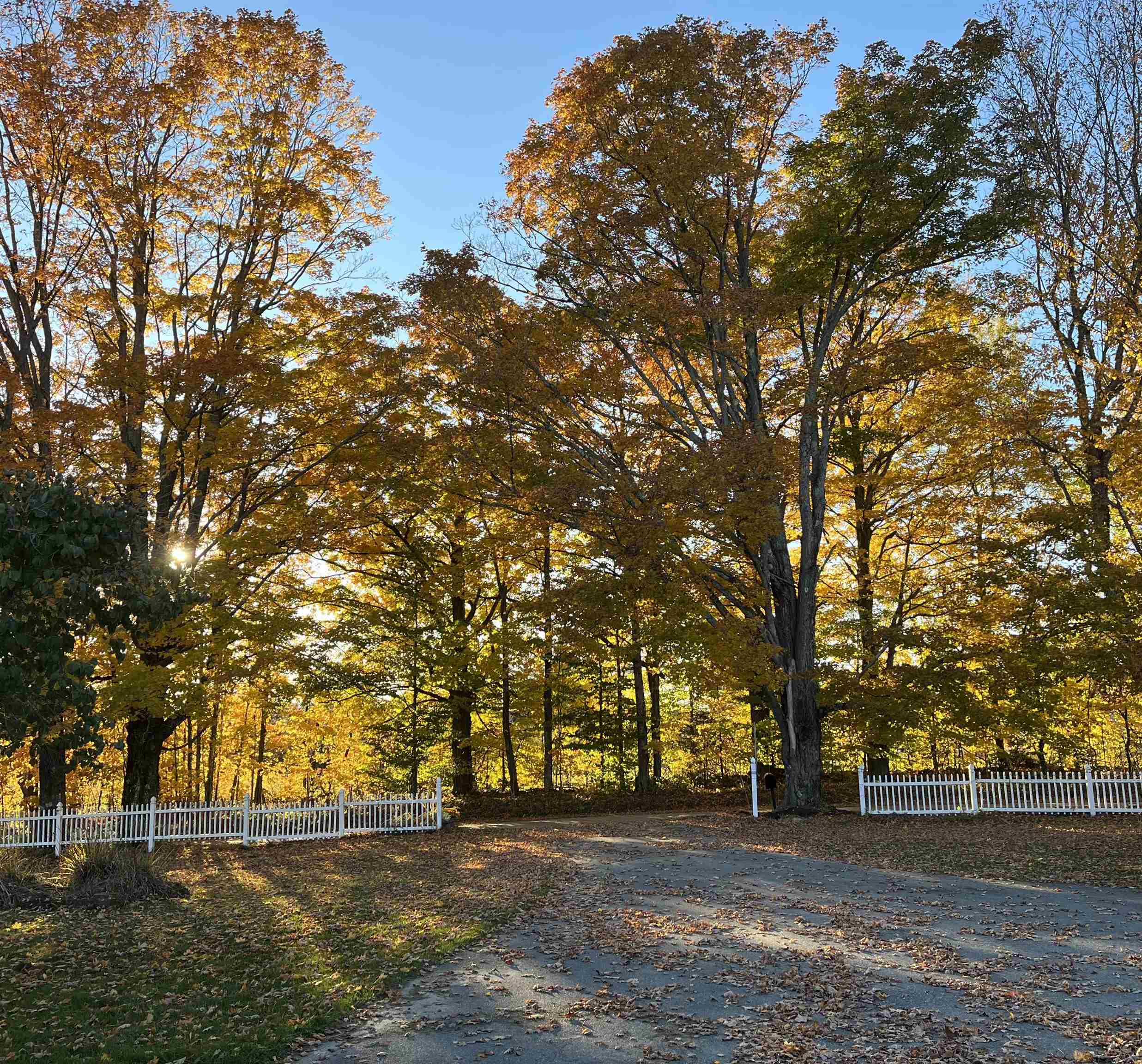 main property photo 36